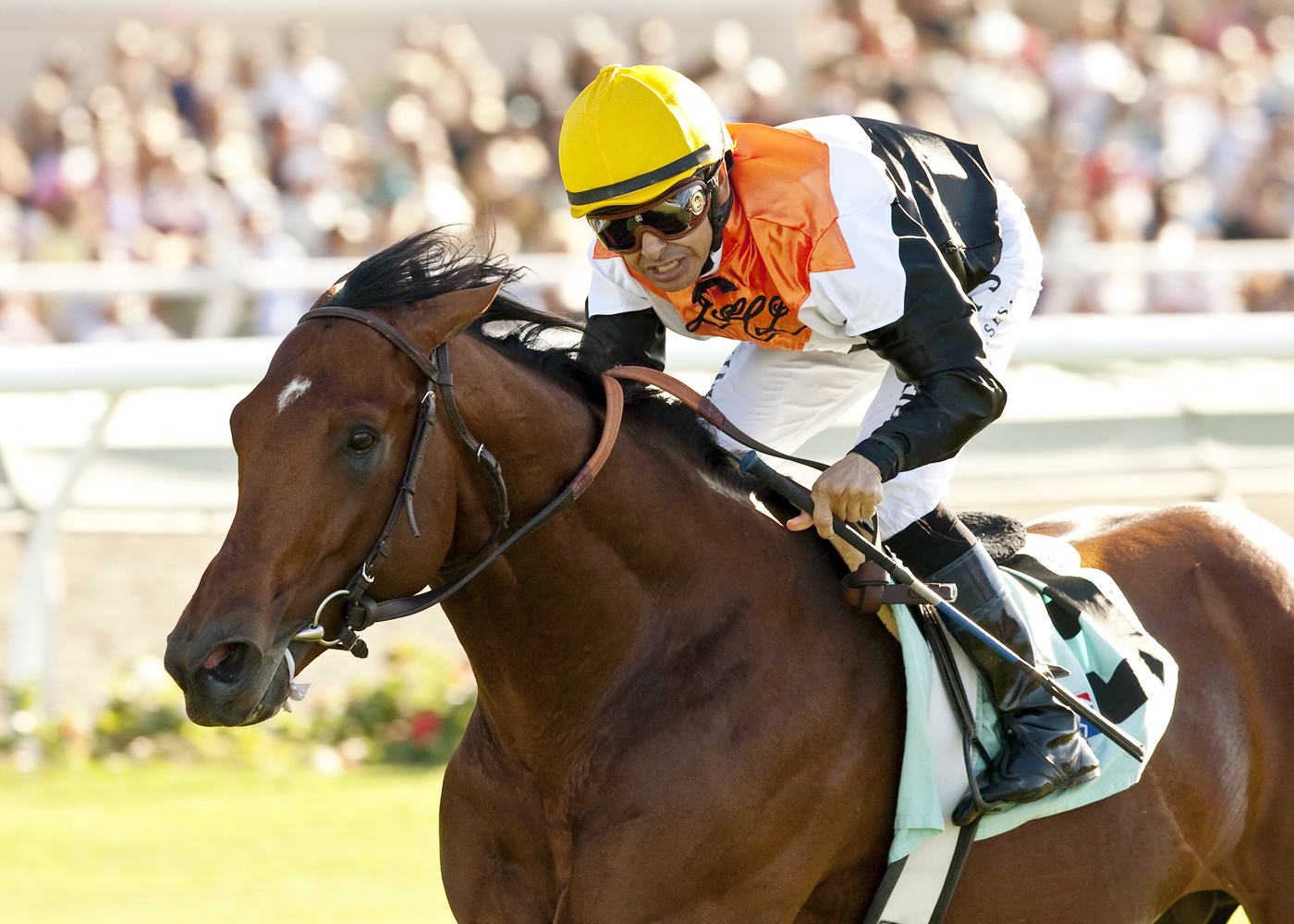 Enterprising wins the Oceanside