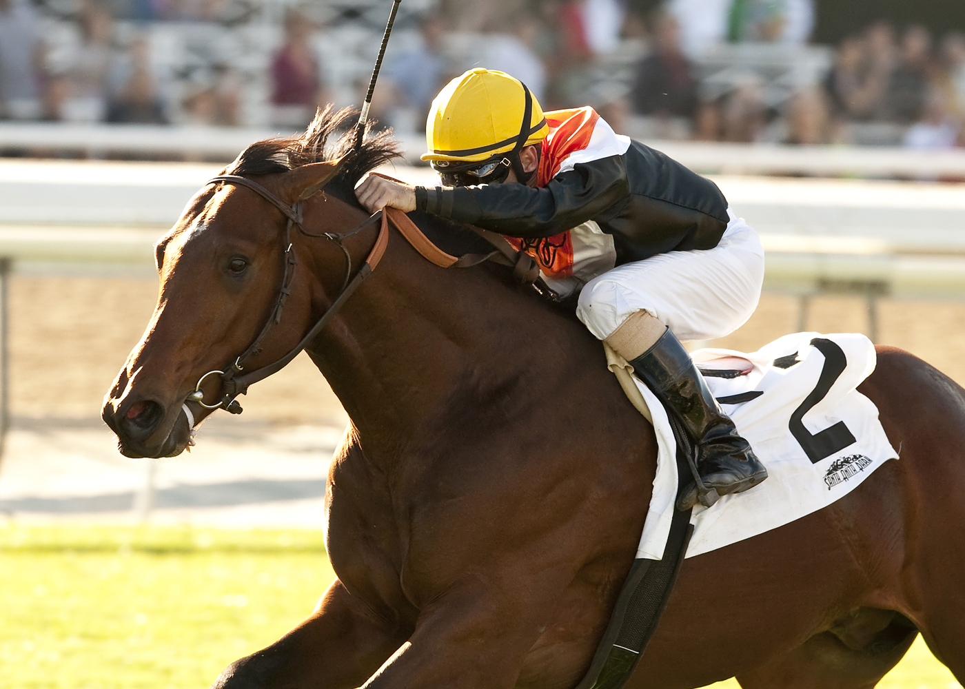 Enterprising wins the Eddie Logan Stakes