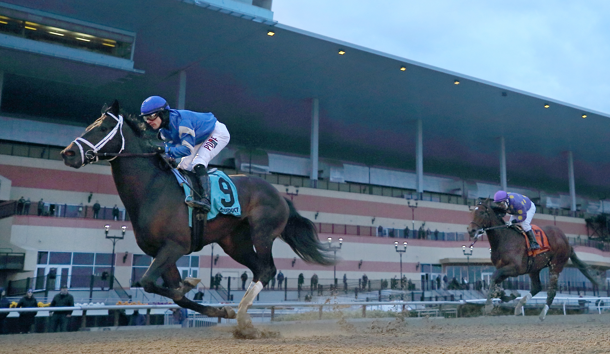 Enticed wins the 2018 Gotham Stakes