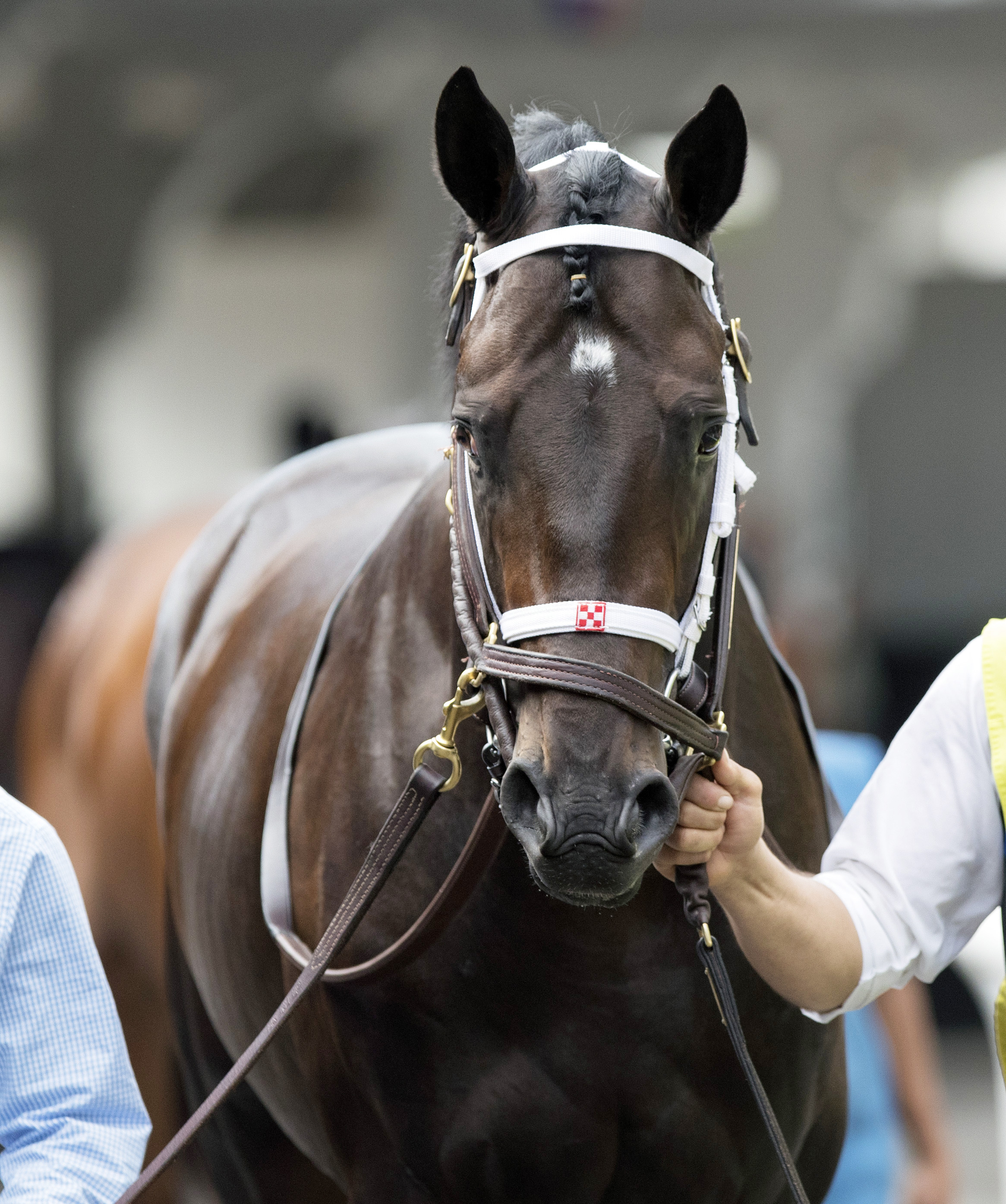 Enticed in October 2017