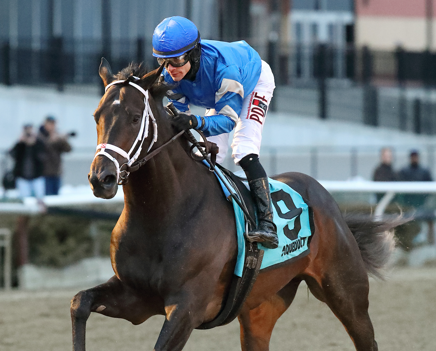 Enticed wins the Gotham Stakes
