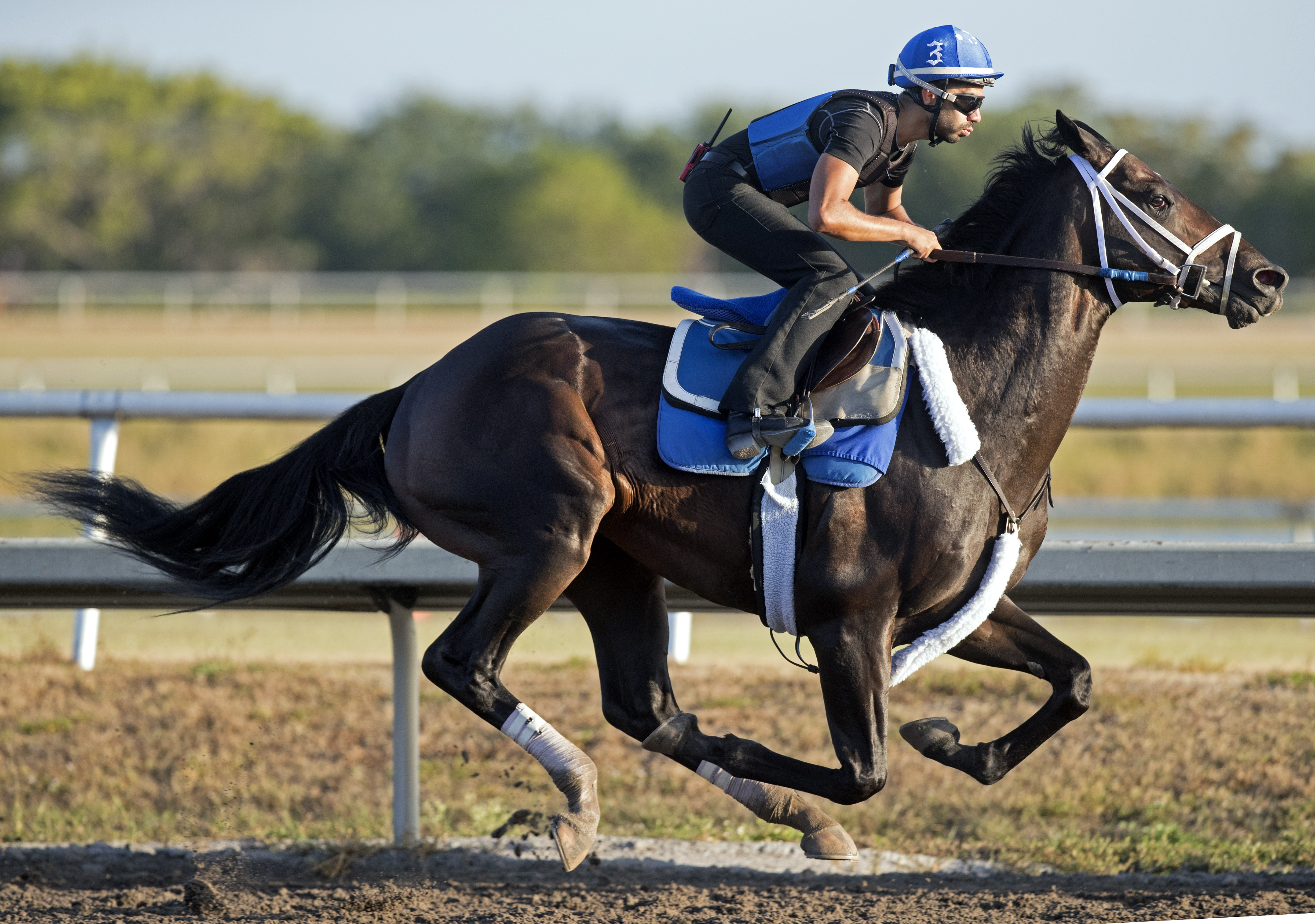 Enticed trains at Palm Meadows on March 30