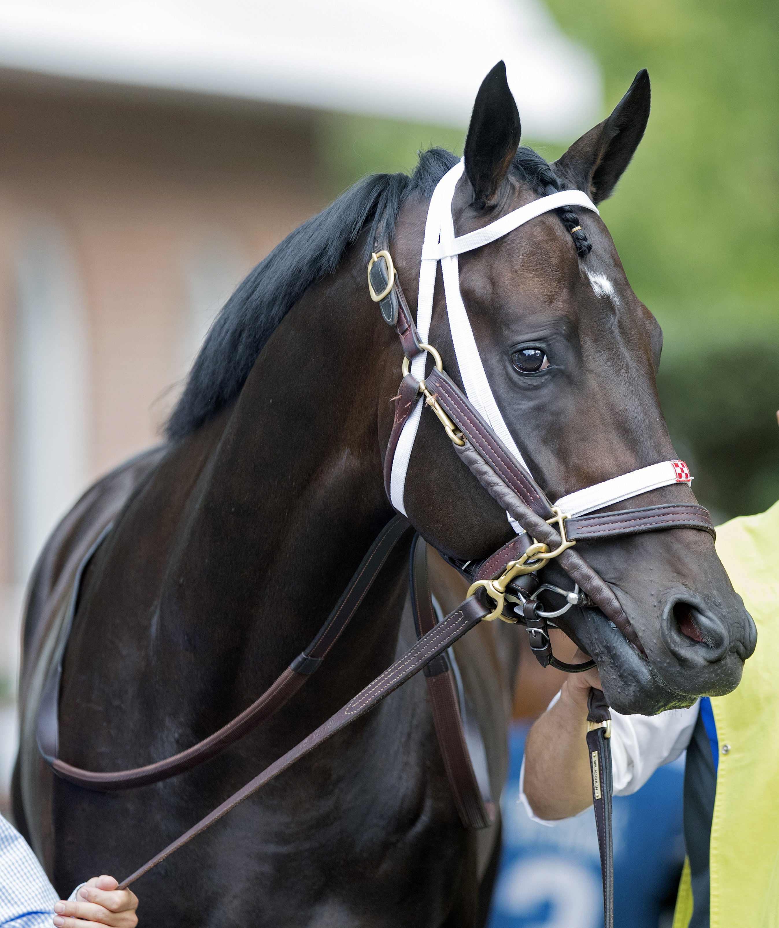 Enticed in October 2017