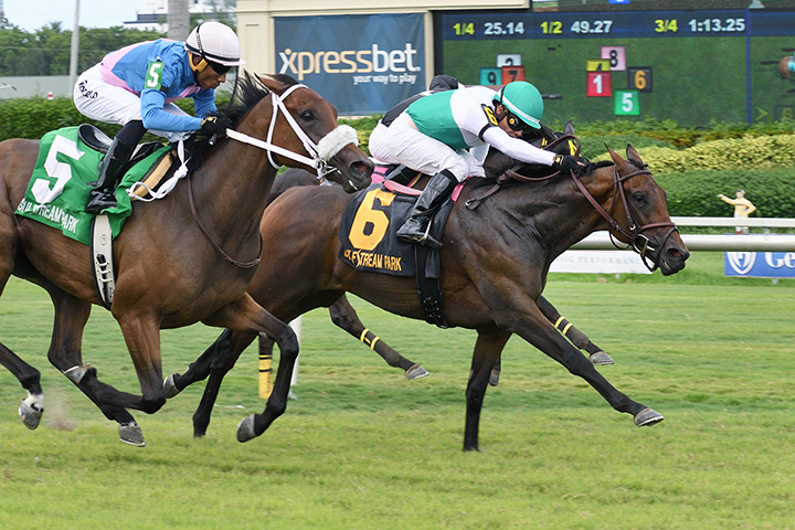 Entirely wins the 2018 Sharp Susan Stakes