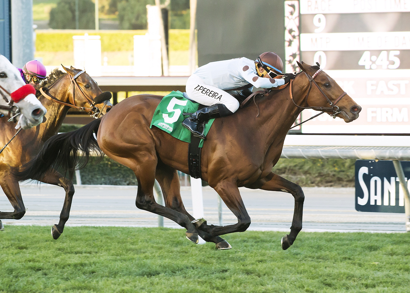 Epical wins a maiden race at Santa Anita Park