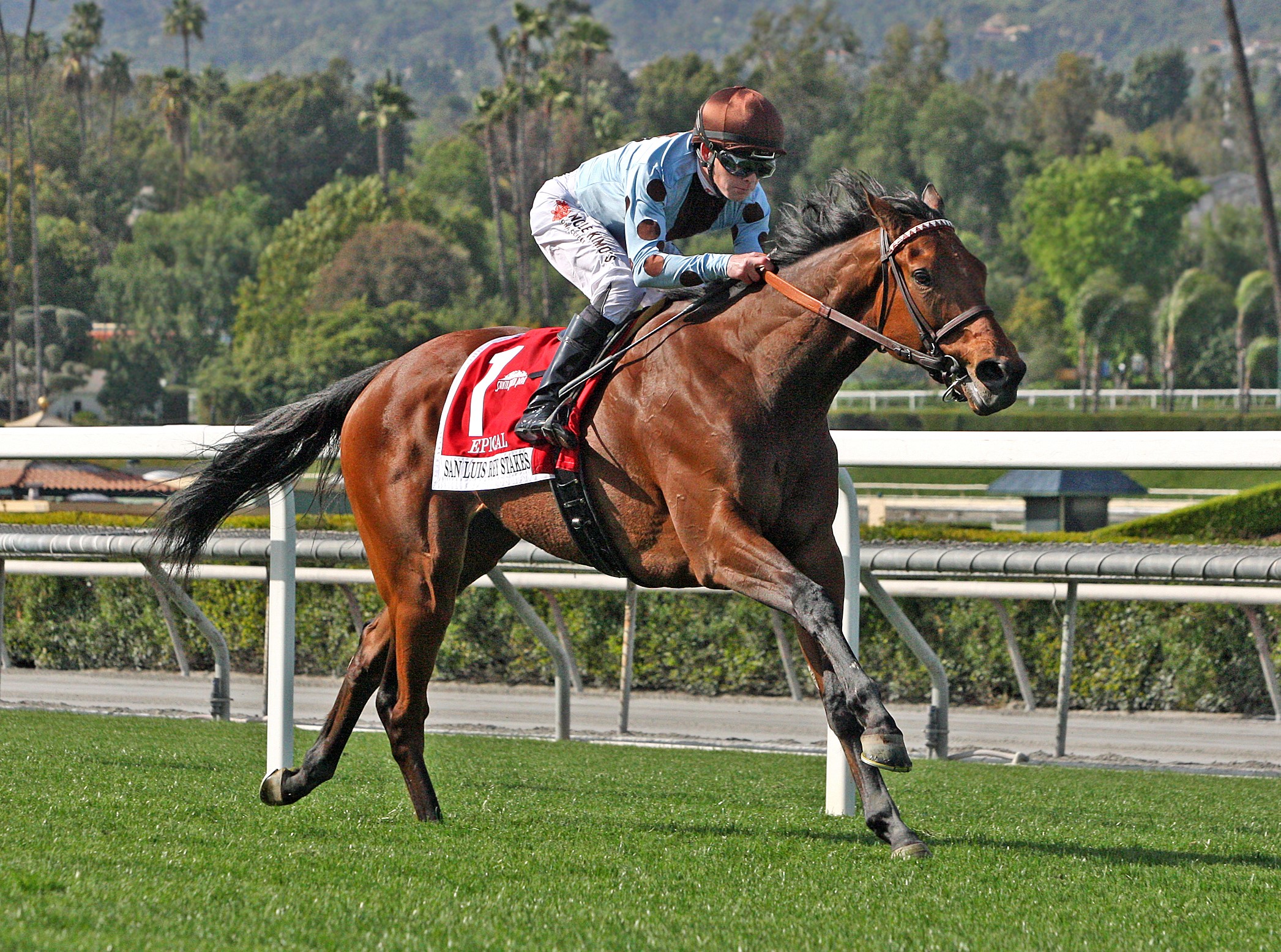 Epical wins the 2019 San Luis Rey Stakes