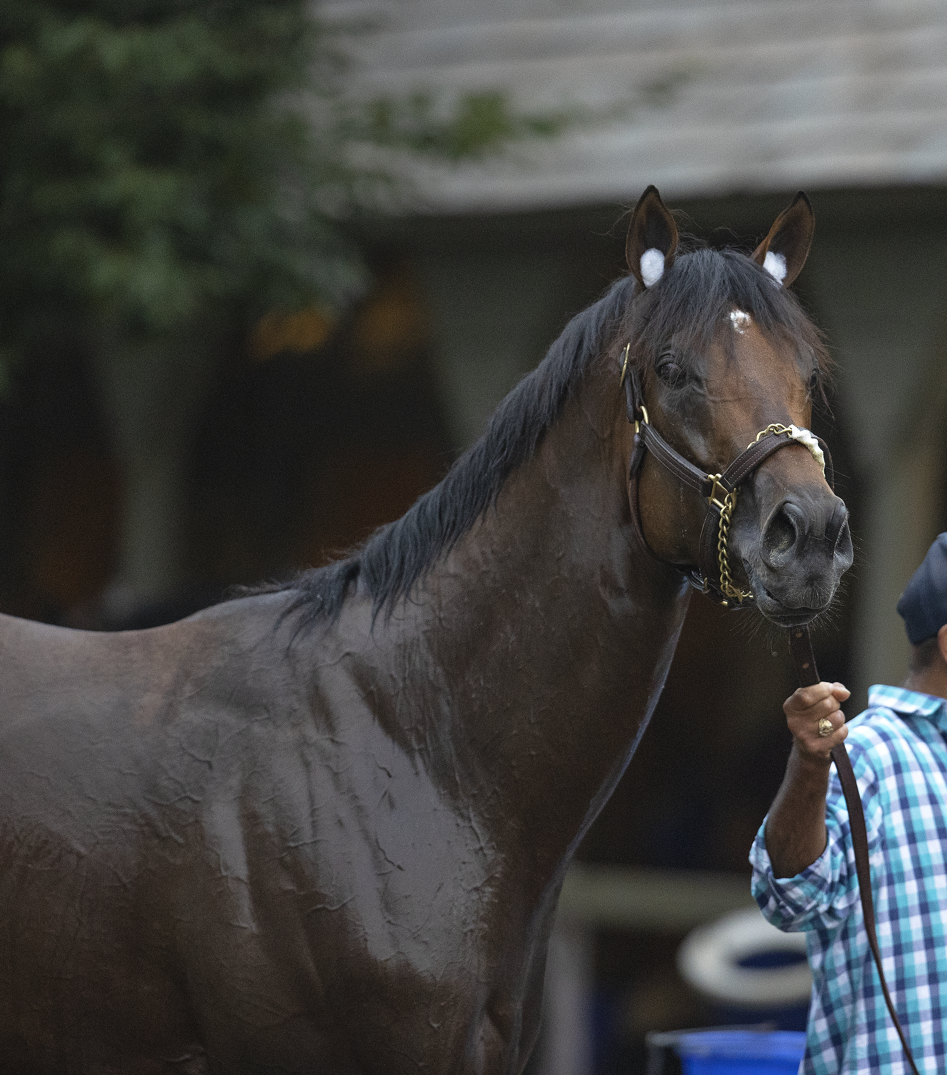 Epicenter at Saratoga on July 17 2022