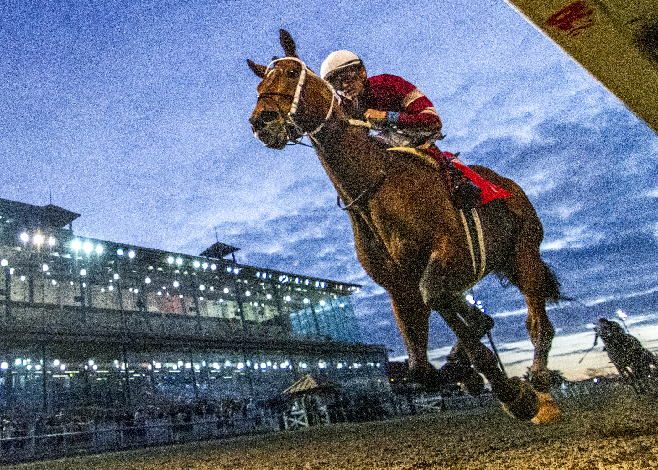 Epicenter wins the Gun Runner.12-26-2021