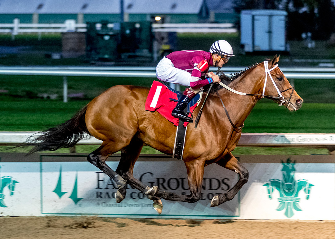 Epicenter wins the 2021 Gun Runner Stakes at Fair Grounds