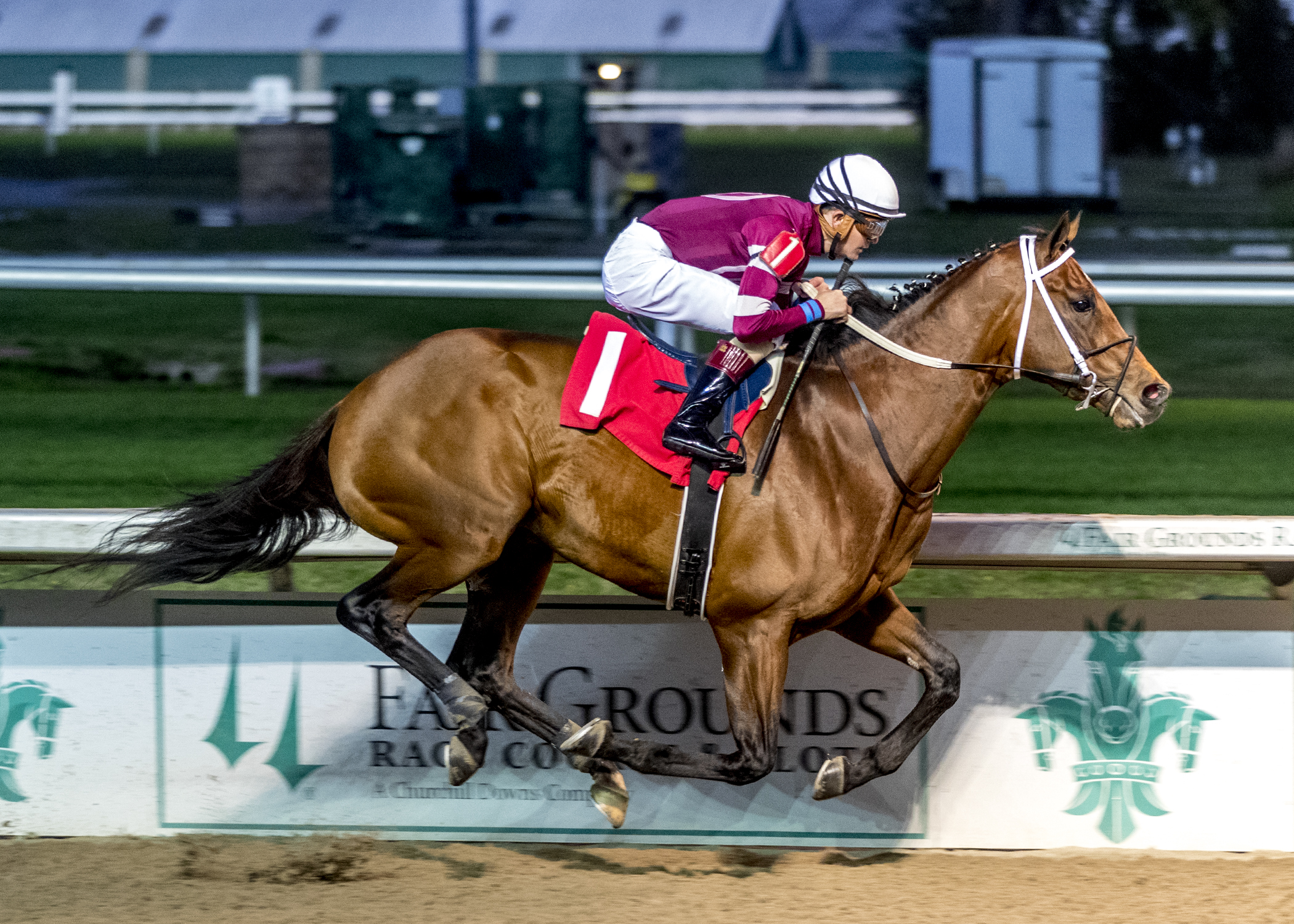 Epicenter wins Gun Runner Stakes 12-26-2021