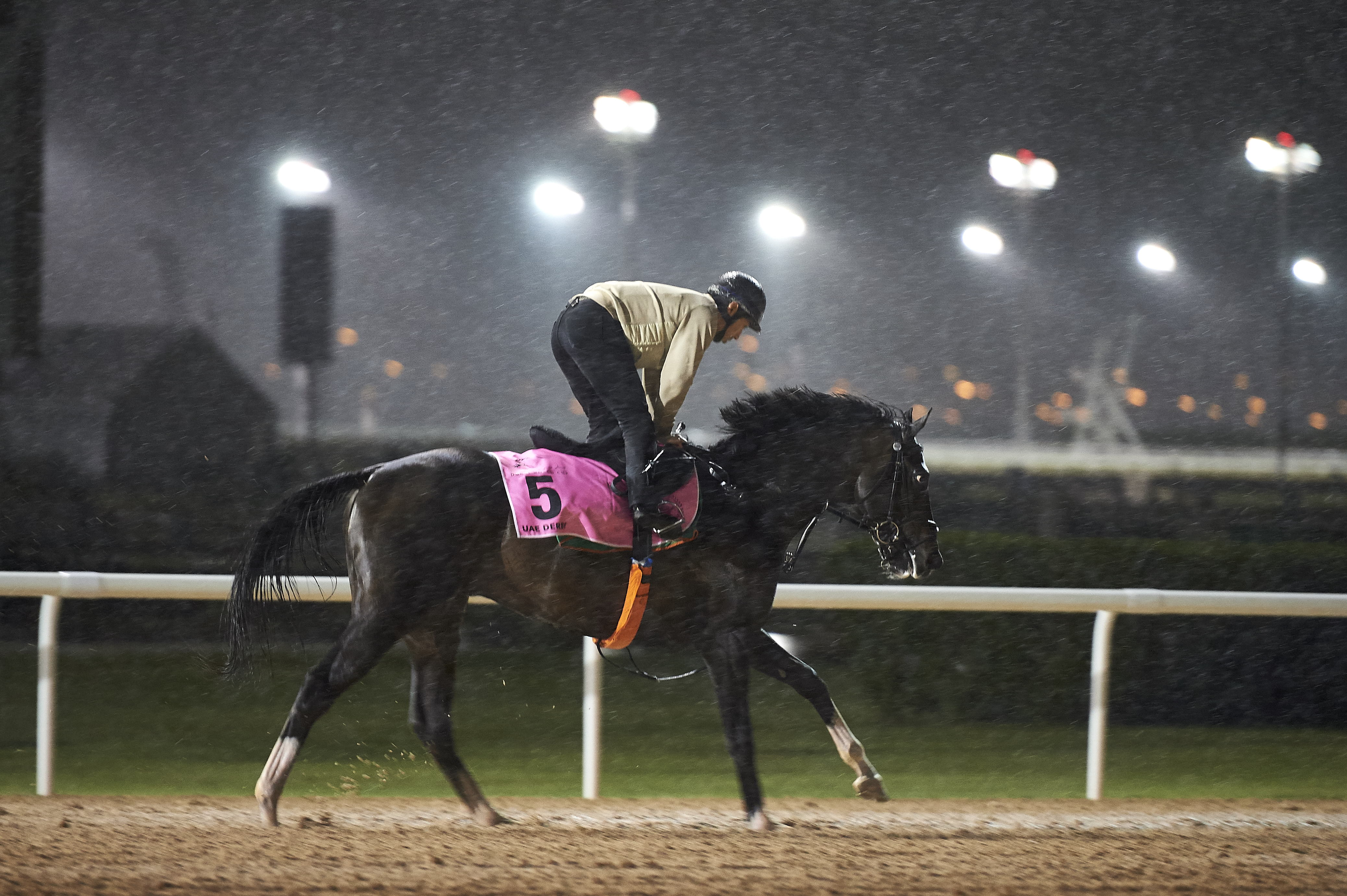 Epicharis trains at Meydan on March 21