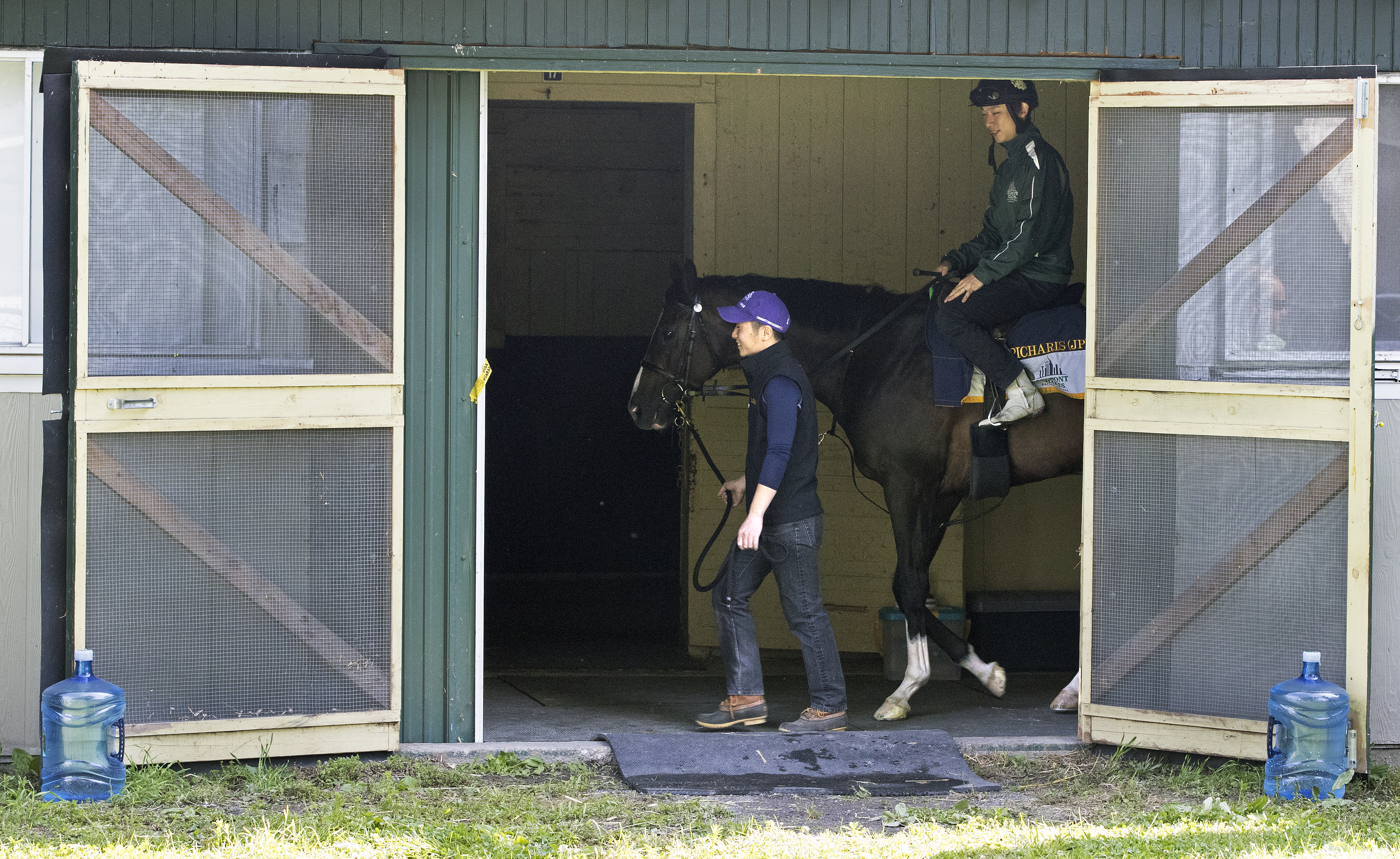 Epicharis walks the shedrow on June 9