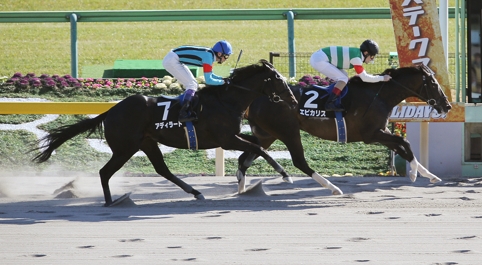 Epicharis wins the Hyacinth Stakes