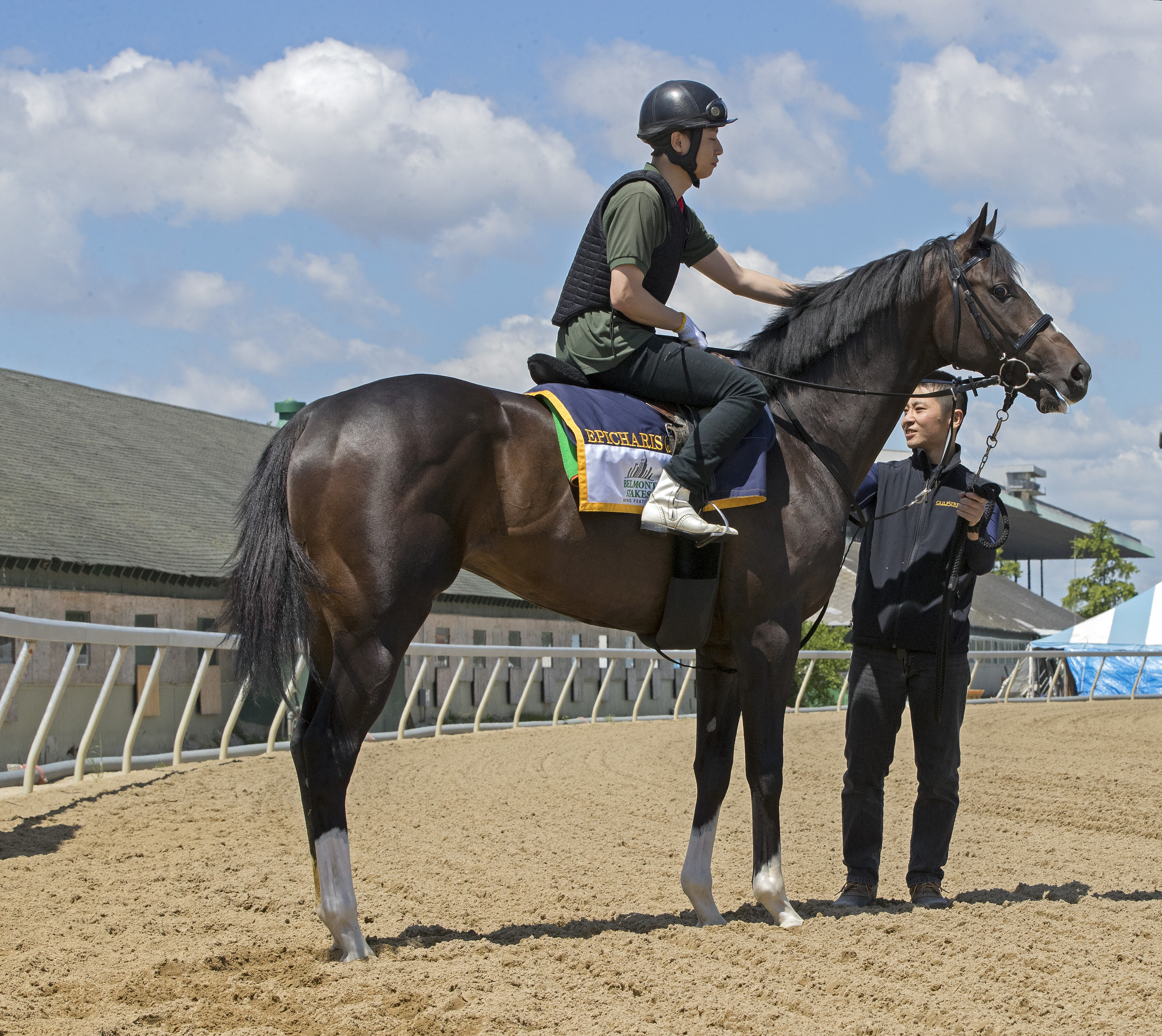 Epicharis at Belmont Park on June 3