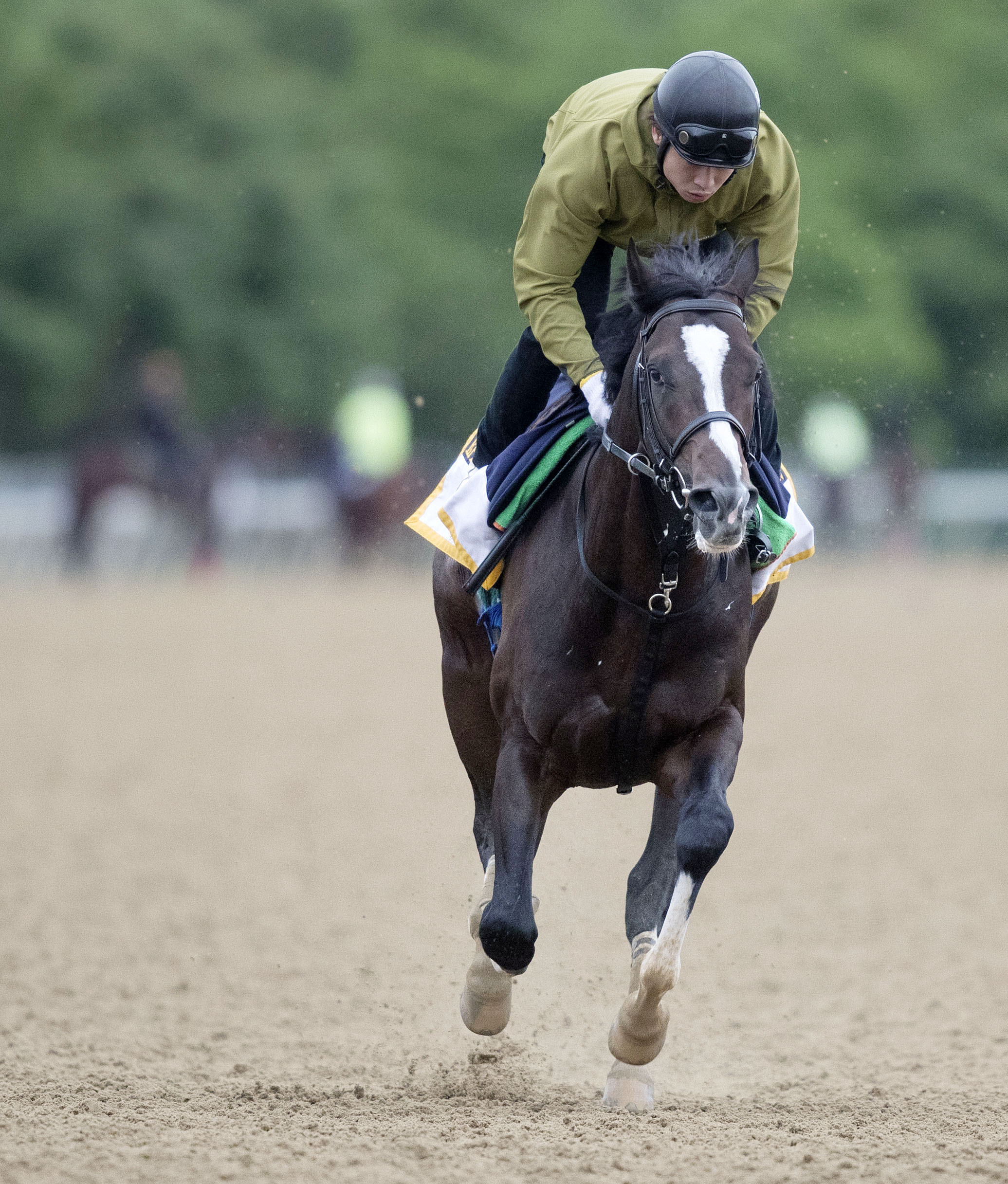Epicharis trains at Belmont Park on June 6