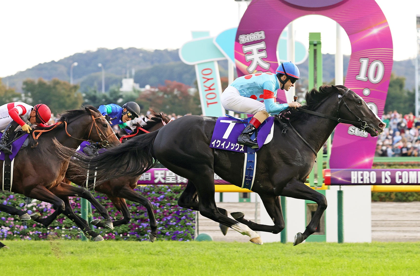 Equinox wins the Tenno Sho at Tokyo Racecourse Oct 30 2022