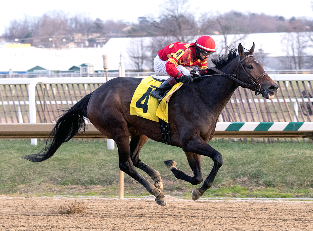Eres Tu wins the Allaire DuPont Stakes at Laurel Park