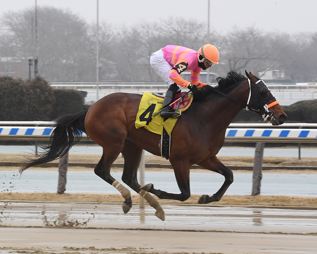Erlich wins a March 2019 maiden race at Aqueduct Racetrack