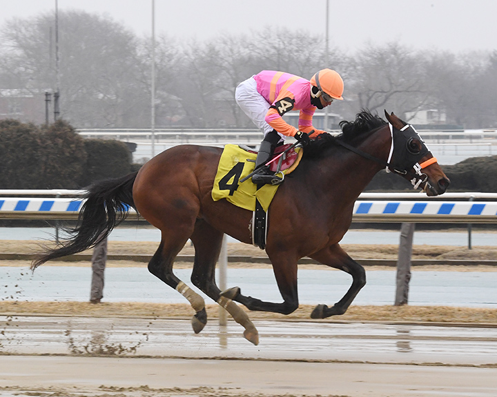 Erlich wins a March 10 maiden race at Aqueduct