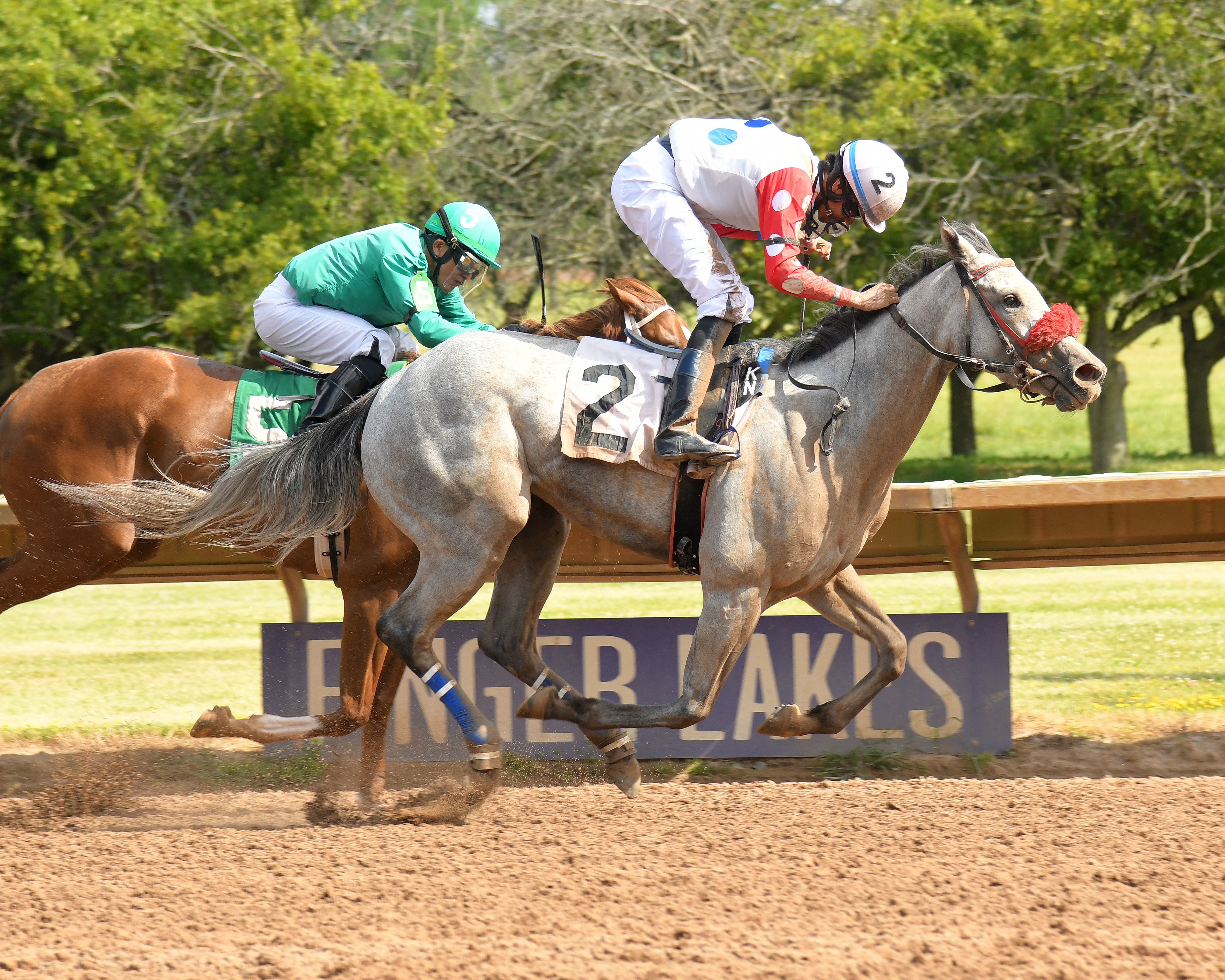 Eros's Girl wins the Niagara at Finger Lakes on July 4 2022