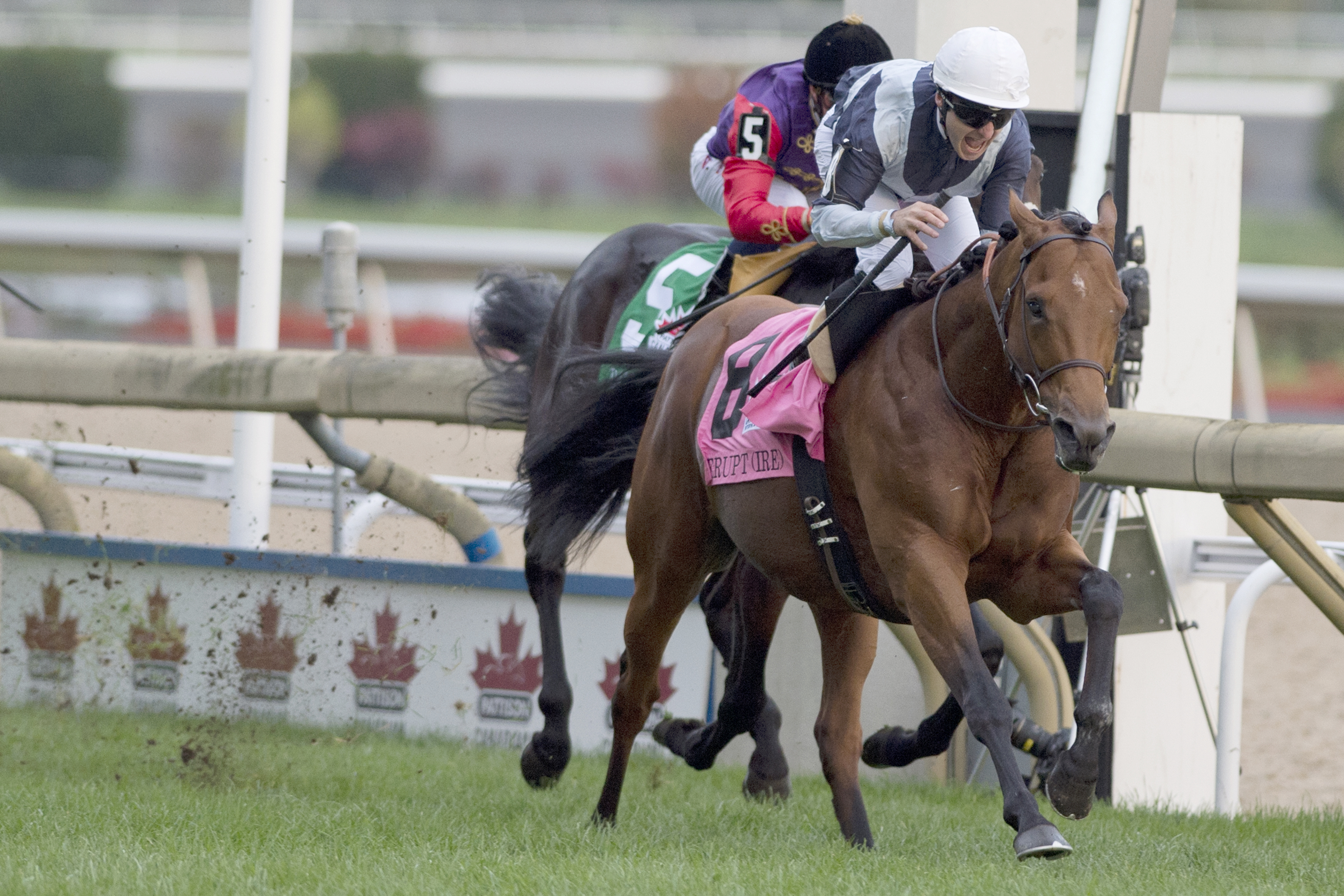 Erupt wins the 2016 Canadian International