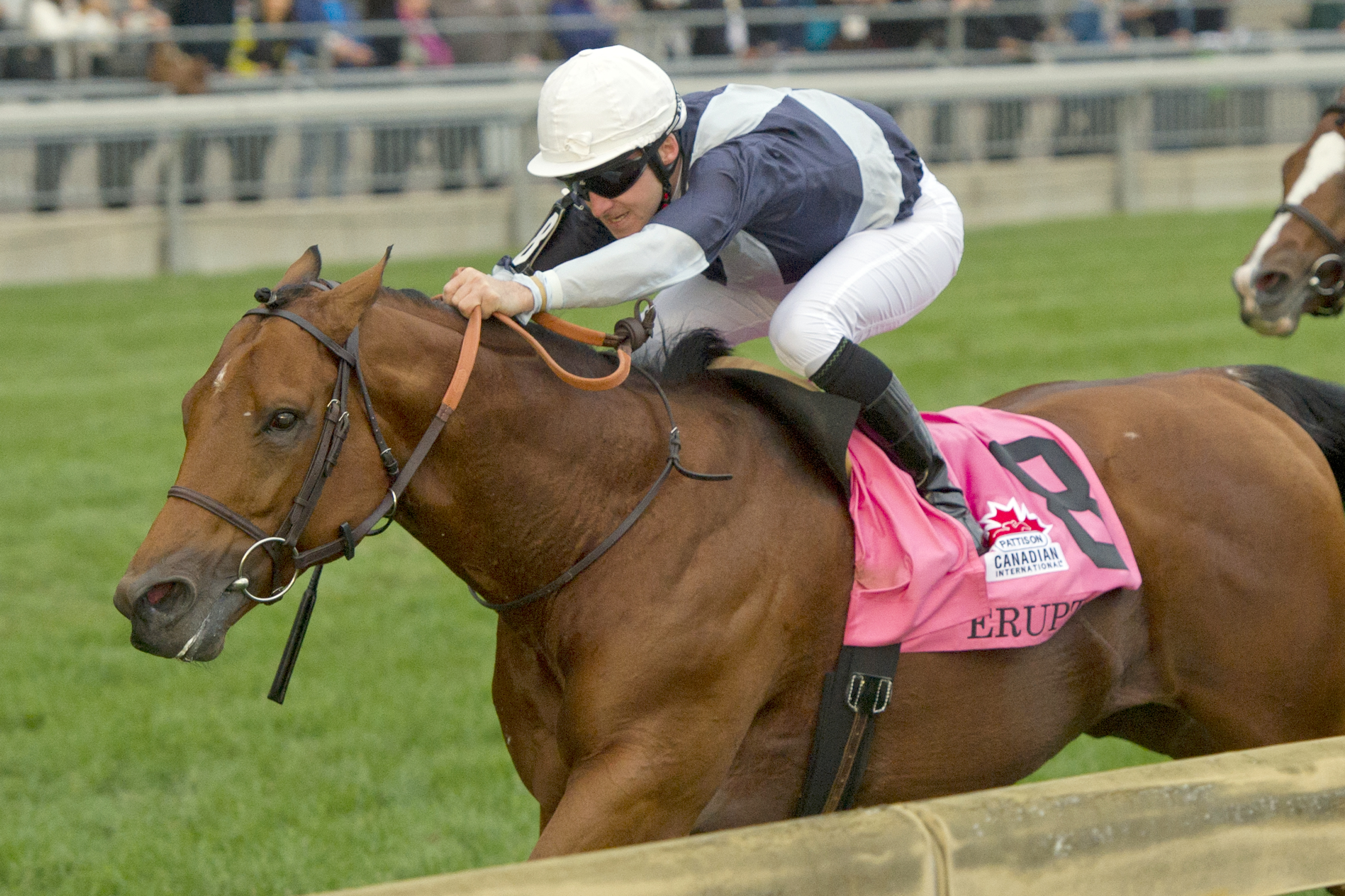 Erupt wins the Canadian International