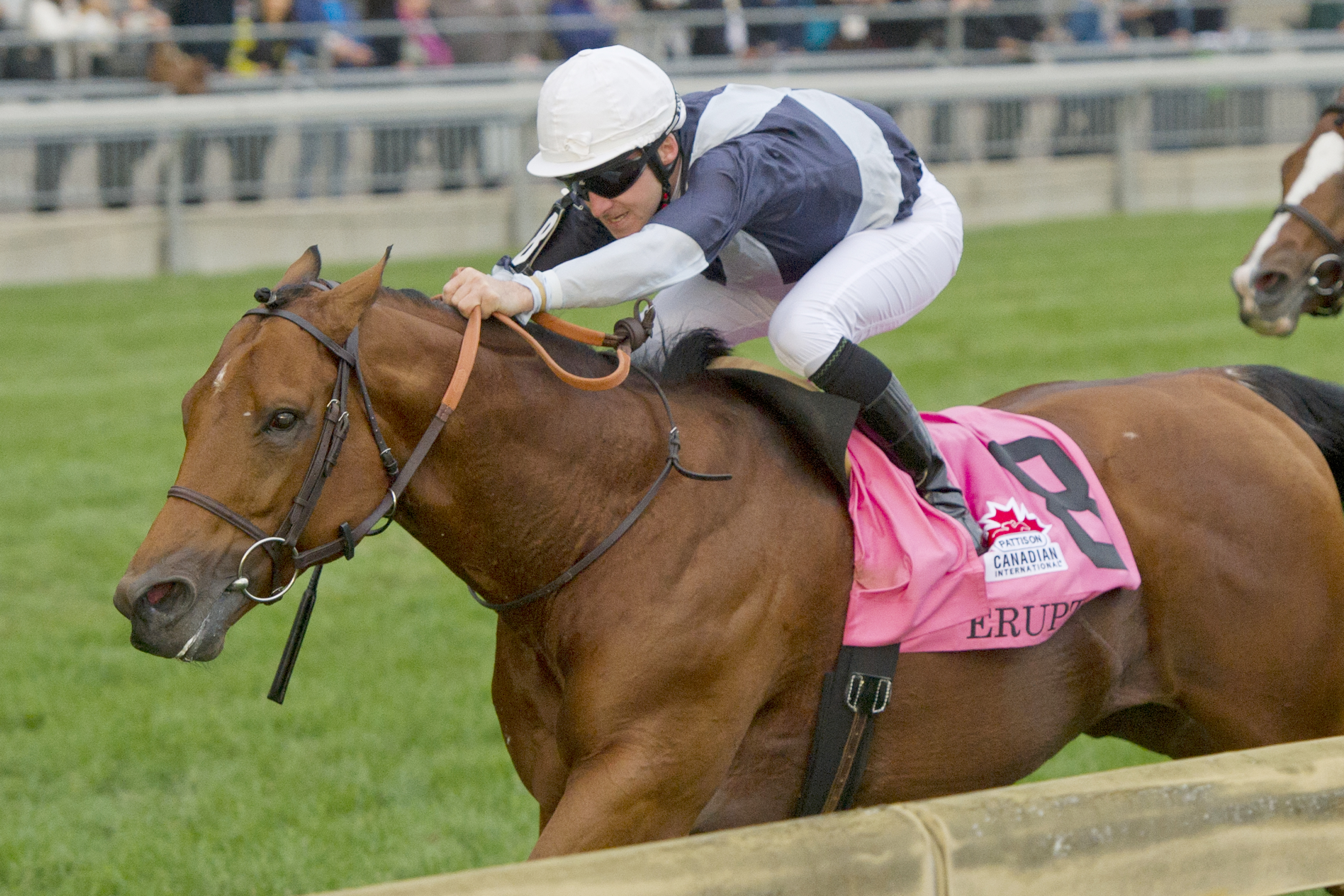Erupt wins the Canadian International