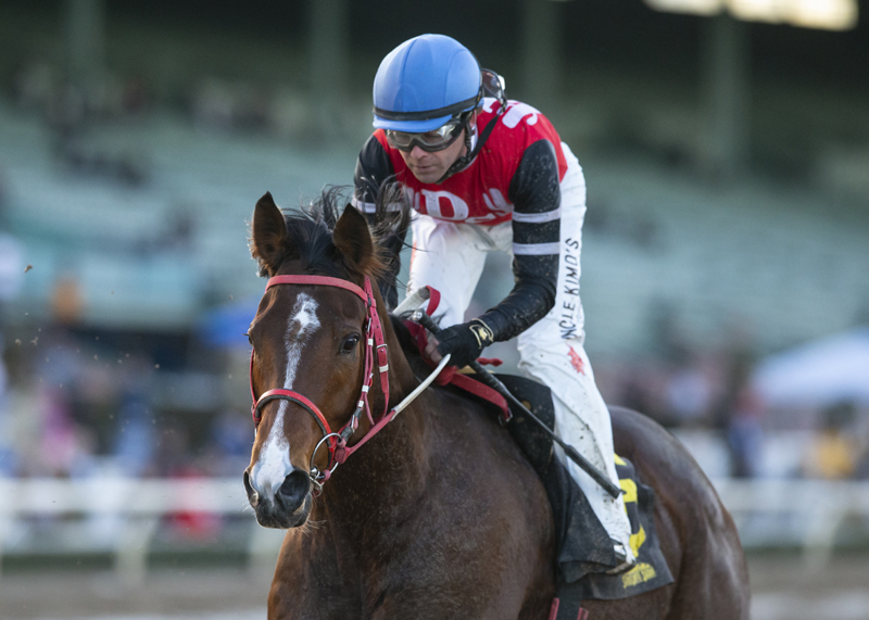 Escape Clause wins the 2019 La Canada Stakes