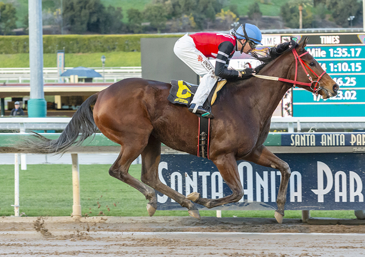 Escape Clause wins the 2019 La Canada Stakes at Santa Anita Park
