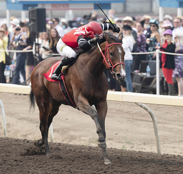 Escape Clause wins the City of Edmonton Distaff
