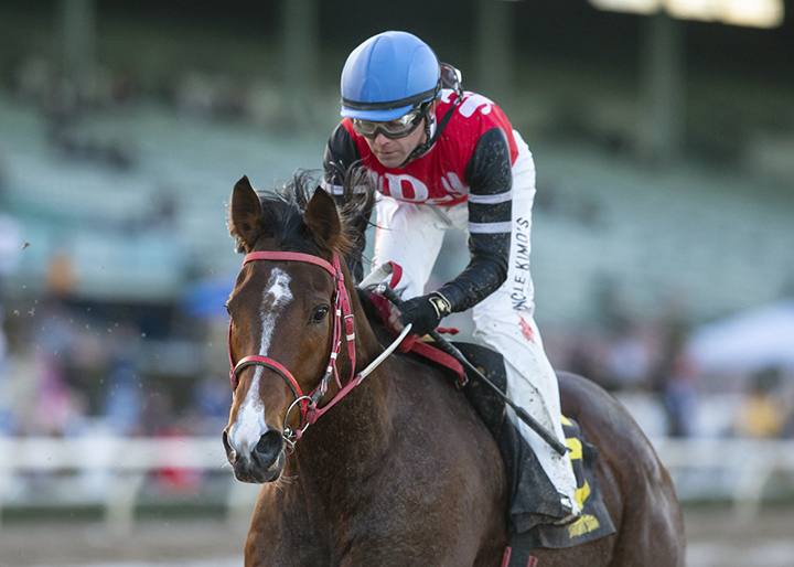 Escape Clause wins the 2019 La Canada Stakes