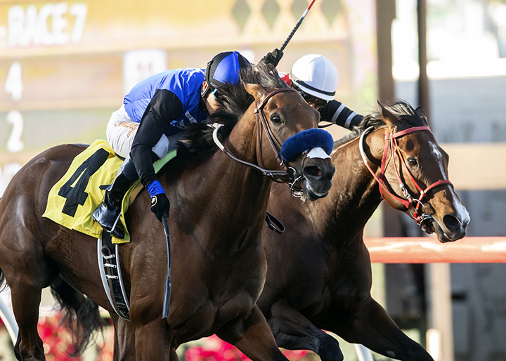 Escape Clause wins the 2018 Kathryn Crosby Stakes