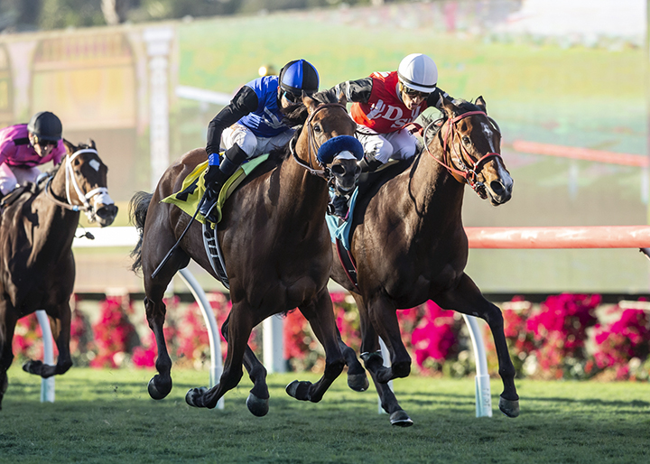 Escape Clause