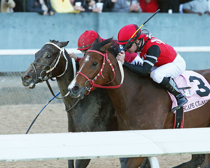 Escape Clause finishes second in the Apple Blossom Handicap at Oaklawn