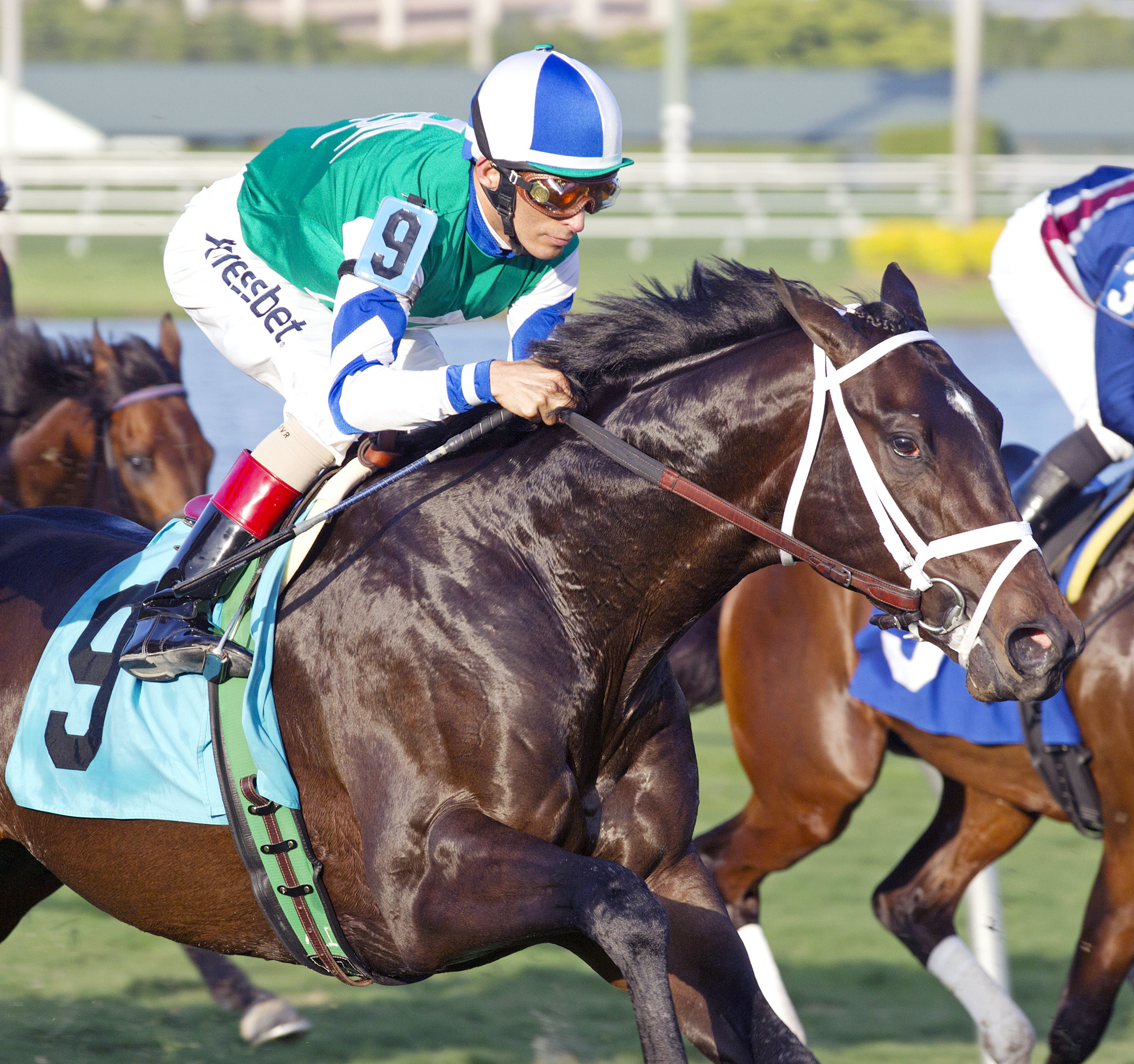 Escondido finishes fifth in an optional claimer