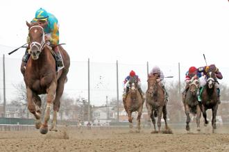 Eskendereya wins Wood
