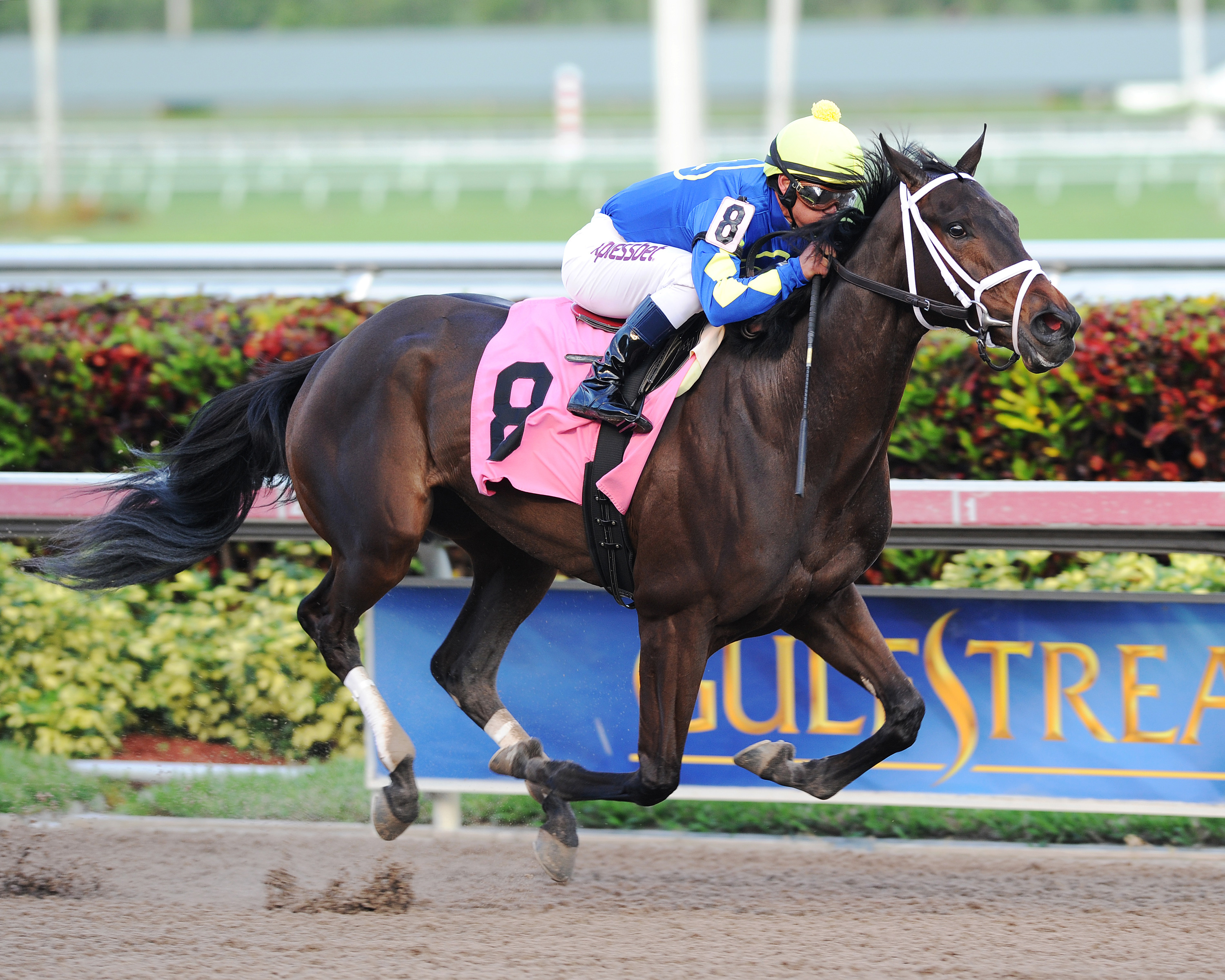Eskenformoney wins a claiming race