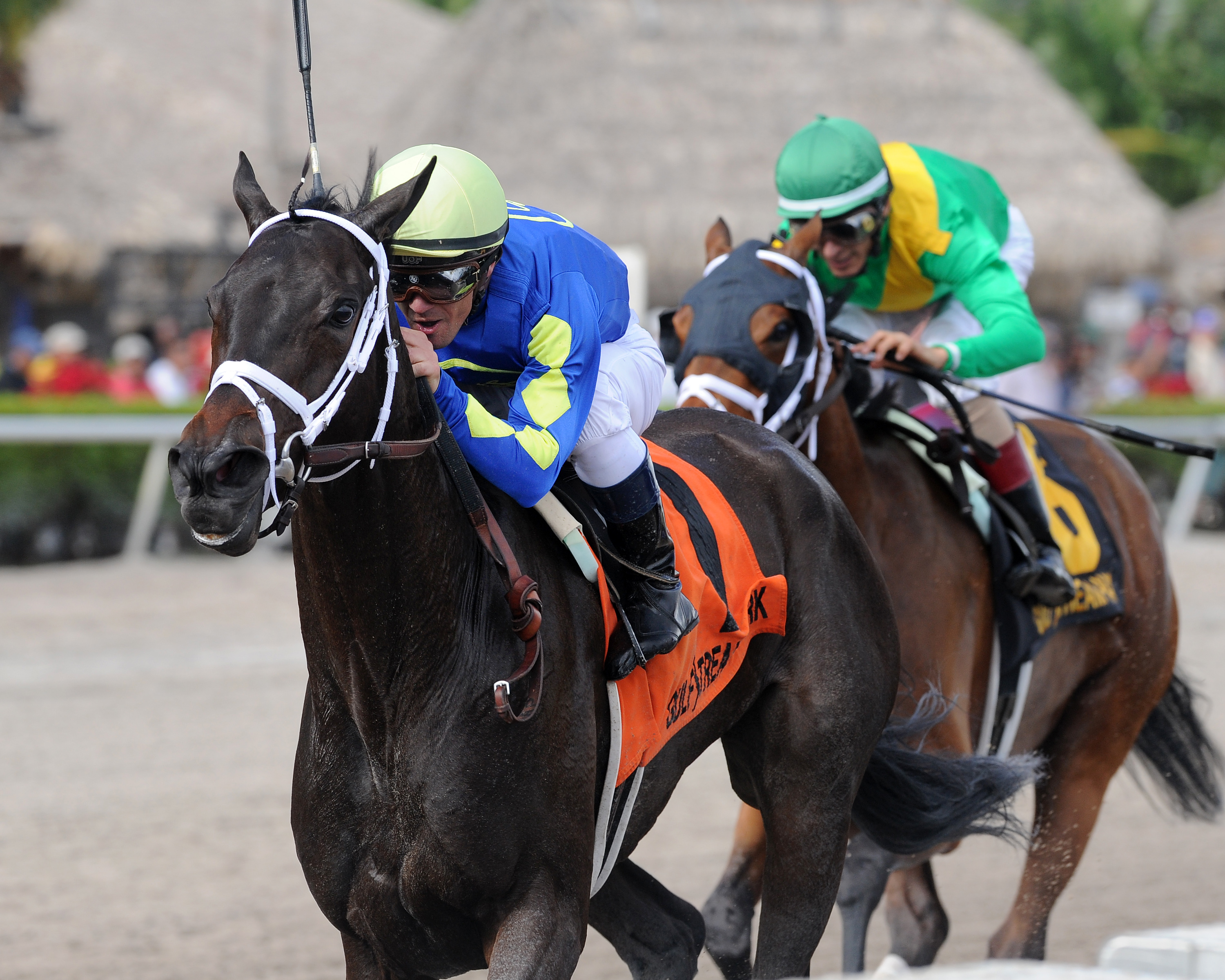Eskenformoney wins the Rampart Stakes