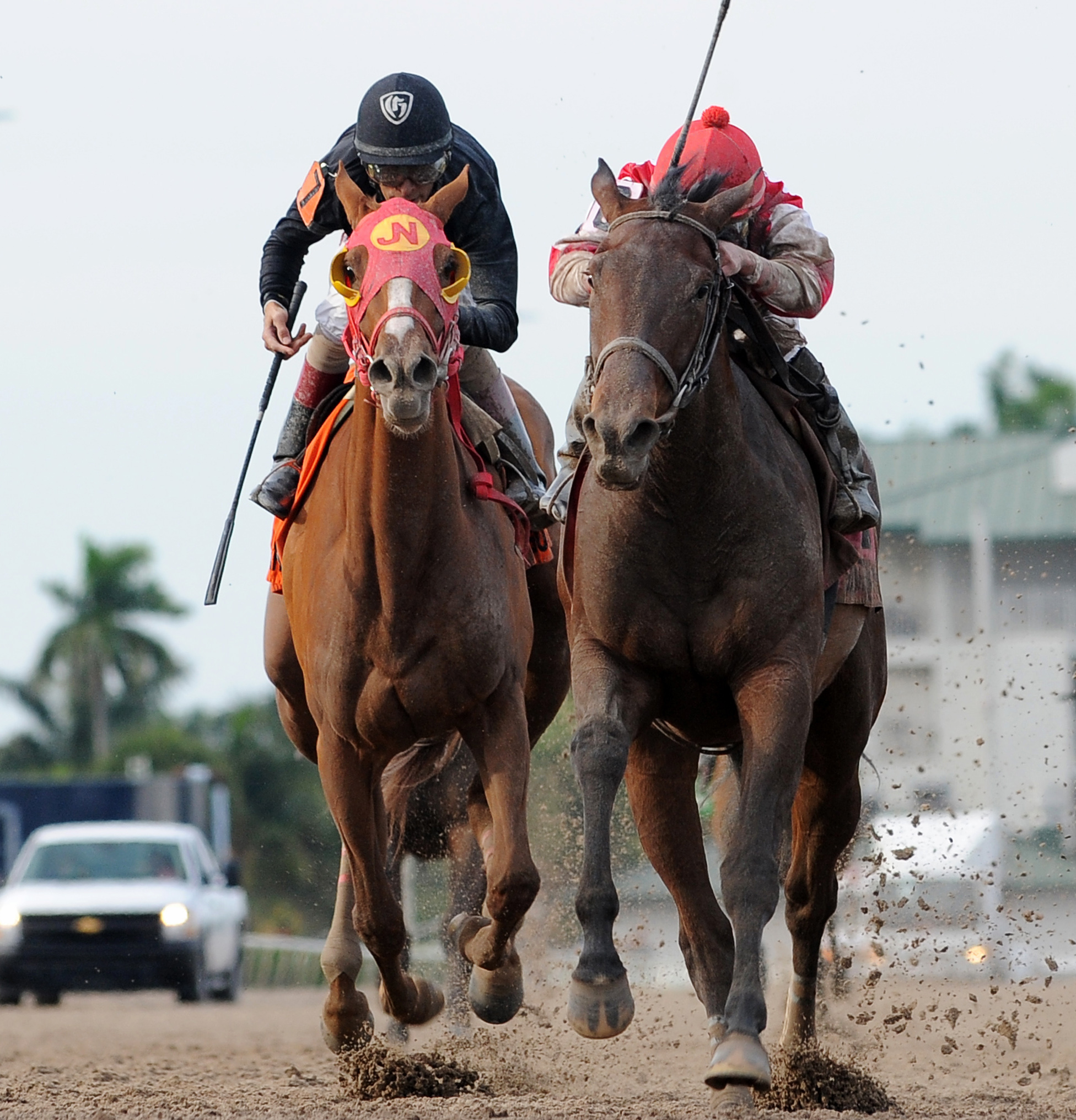 Eskenformoney finishes second in the Gulfstream Park Oaks