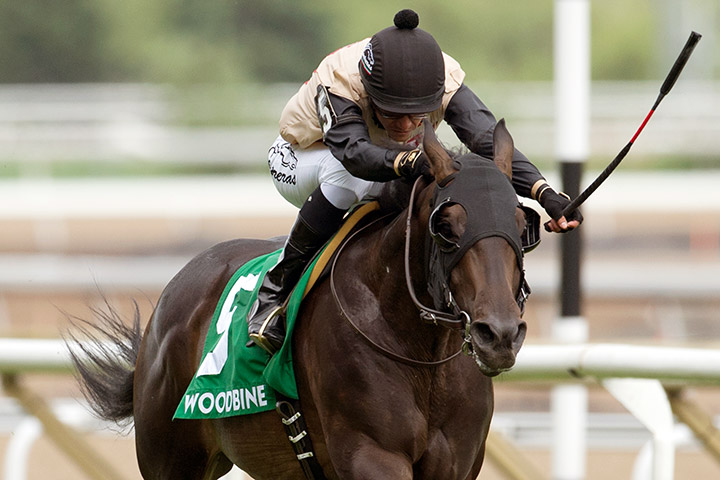 Eskiminzin wins the 2018 Bold Ruckus Stakes at Woodbine