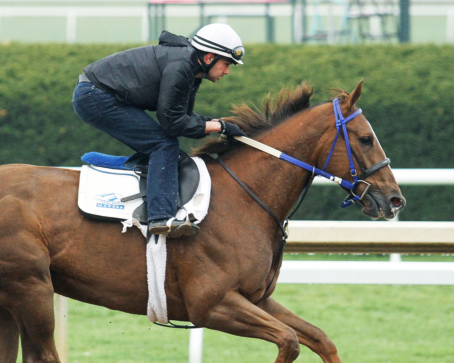 Eskimo Kisses trains at Keeneland on April 25