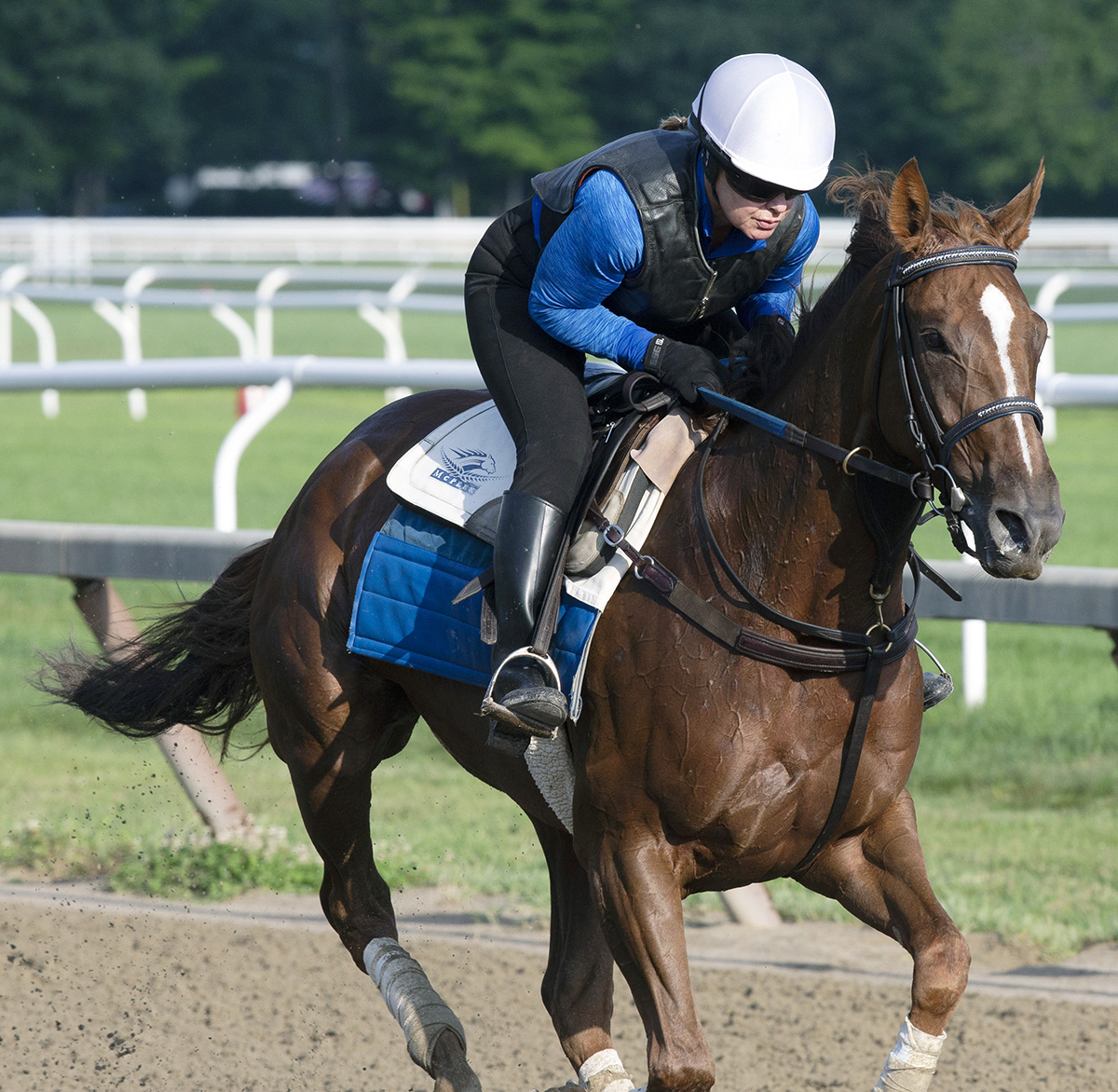 Eskimo Kisses trains at Saratoga on July 28