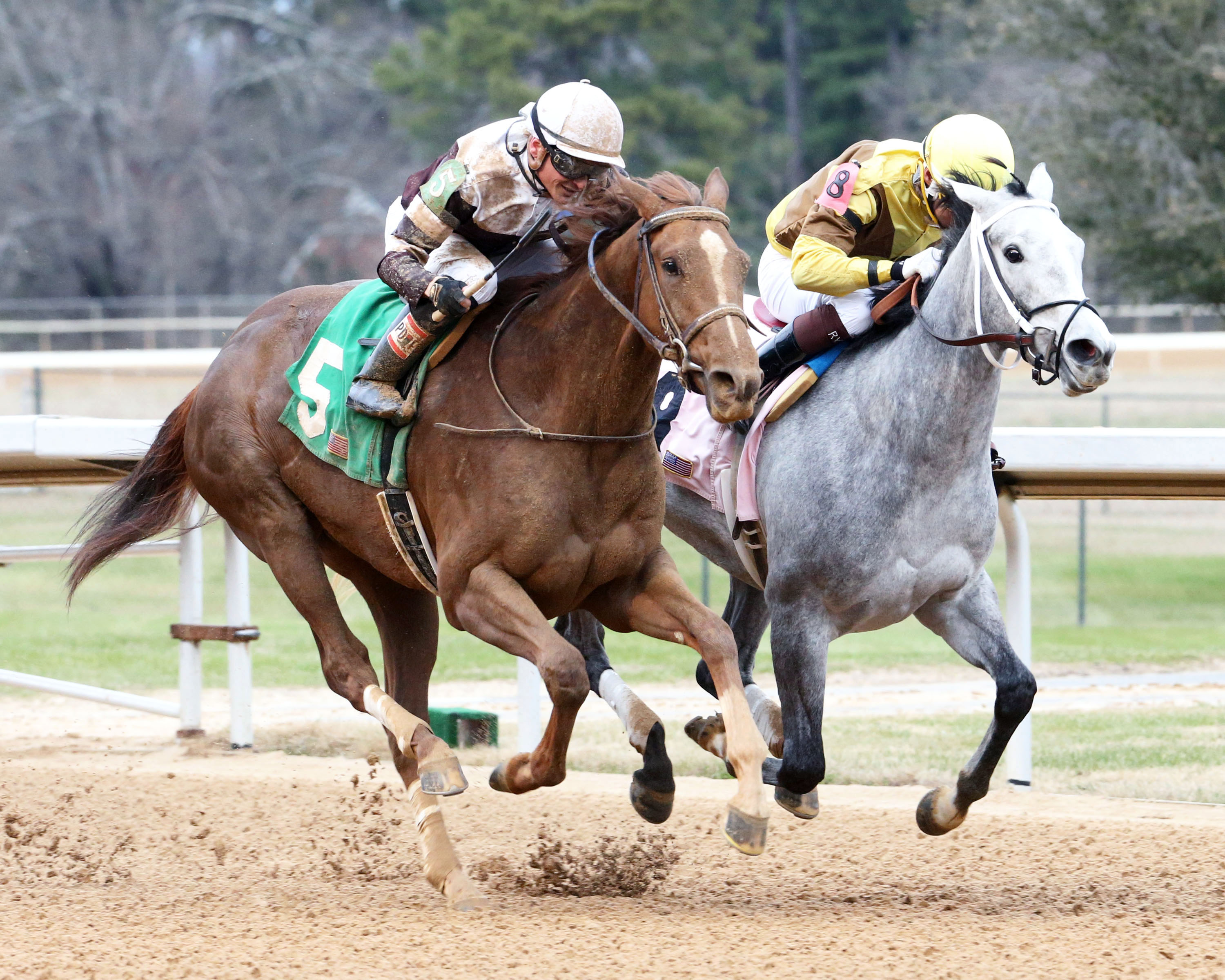 Eskimo Kisses wins a Feb. 1 maiden race
