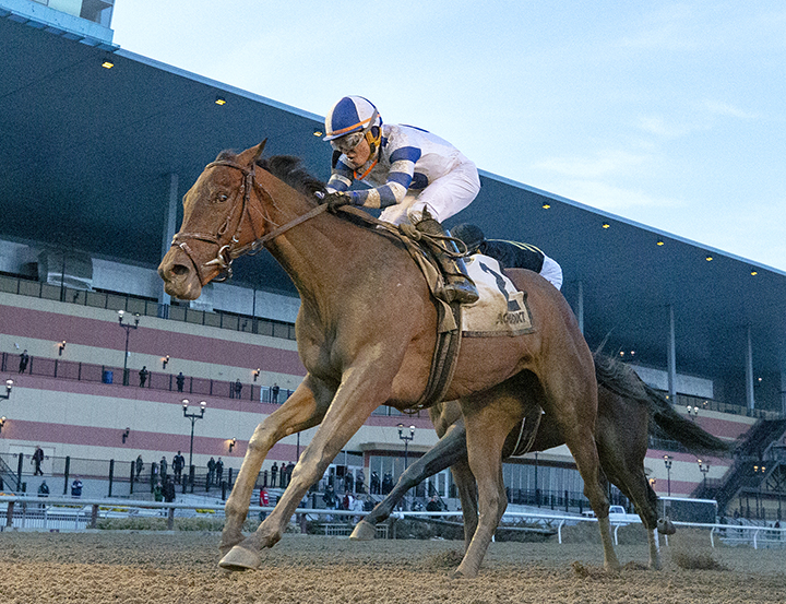 Espresso Shot wins the Busher Stakes
