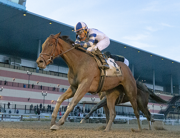 Espresso Shot wins the Busher Stakes