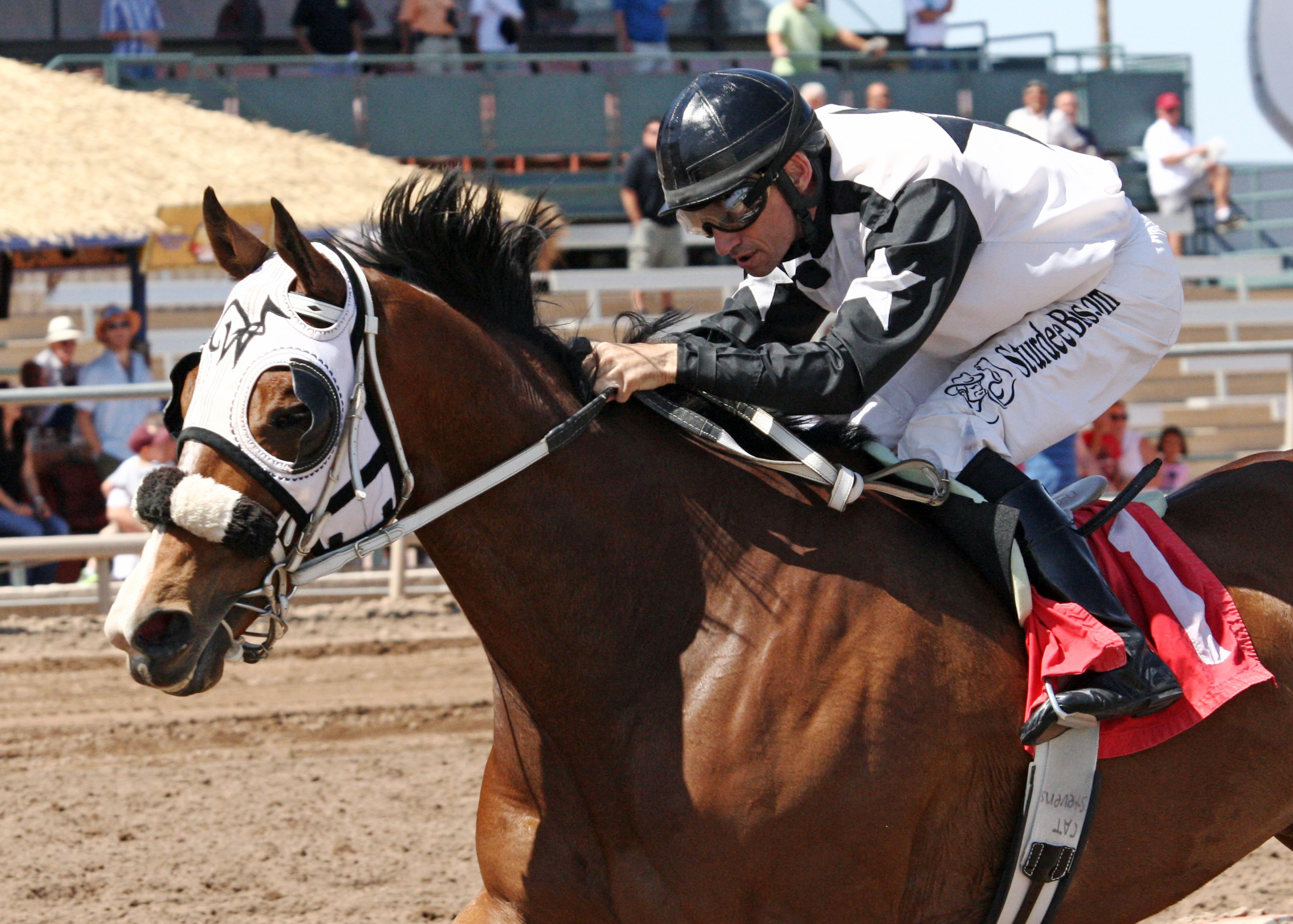 Espresso Springs wins The Sandra Hall Grand Canyon Handicap