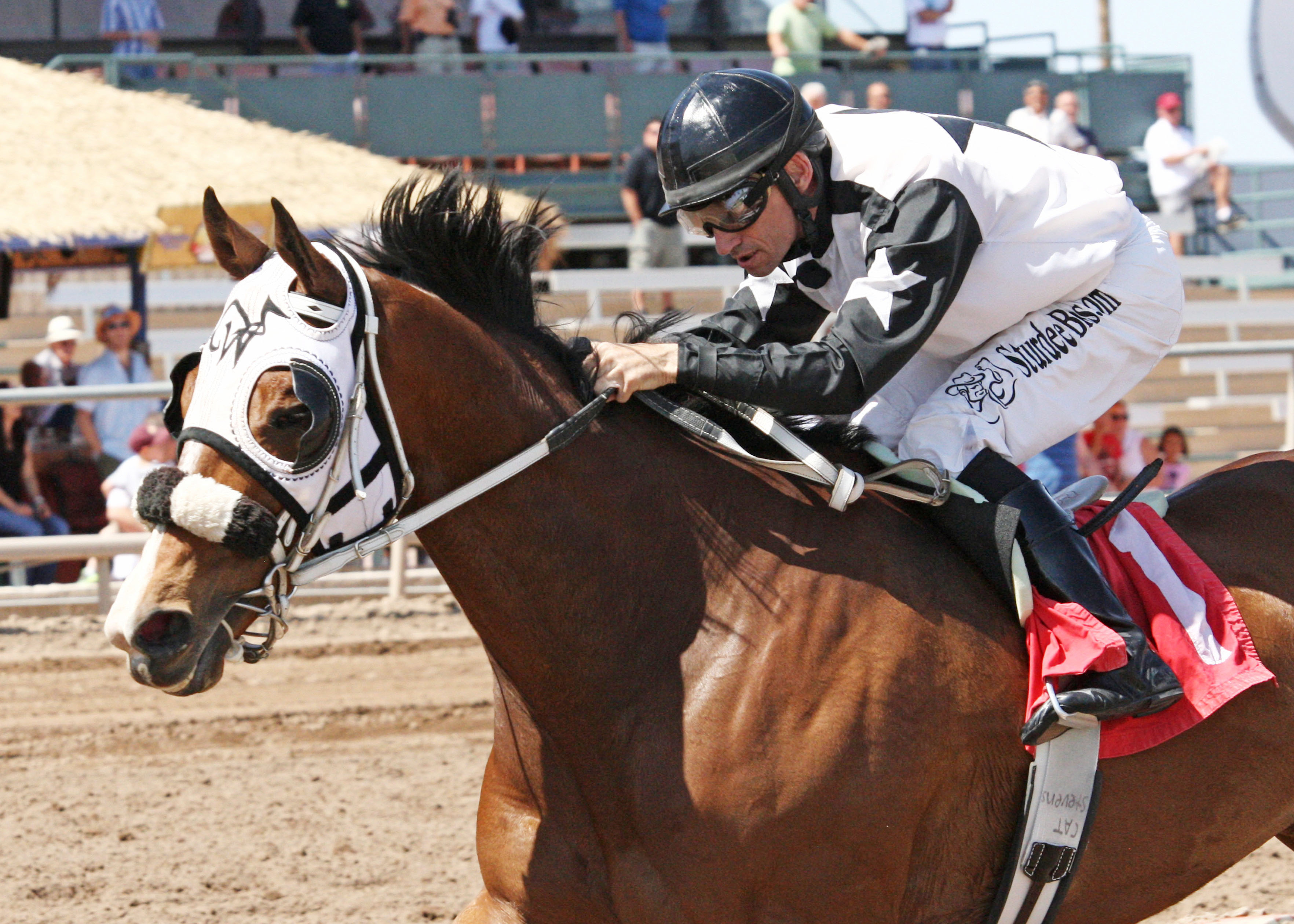 Espresso Springs wins the Grand Canyon Handicap