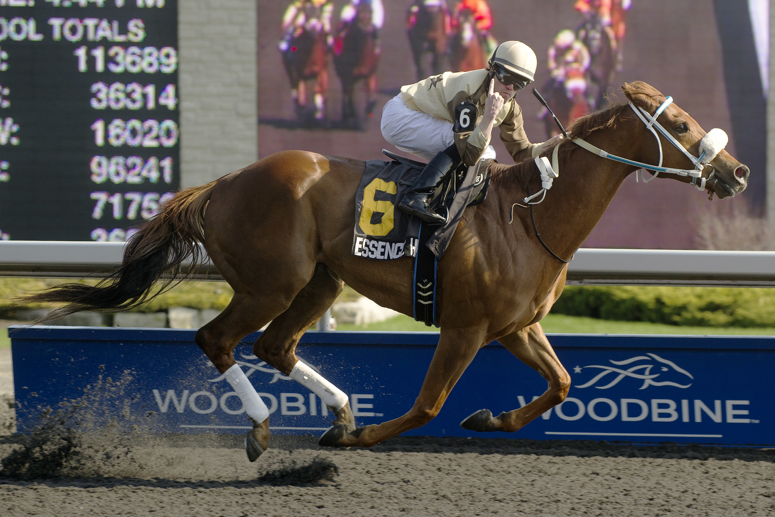 Essence Hit Man, Jacques Cartier Stakes