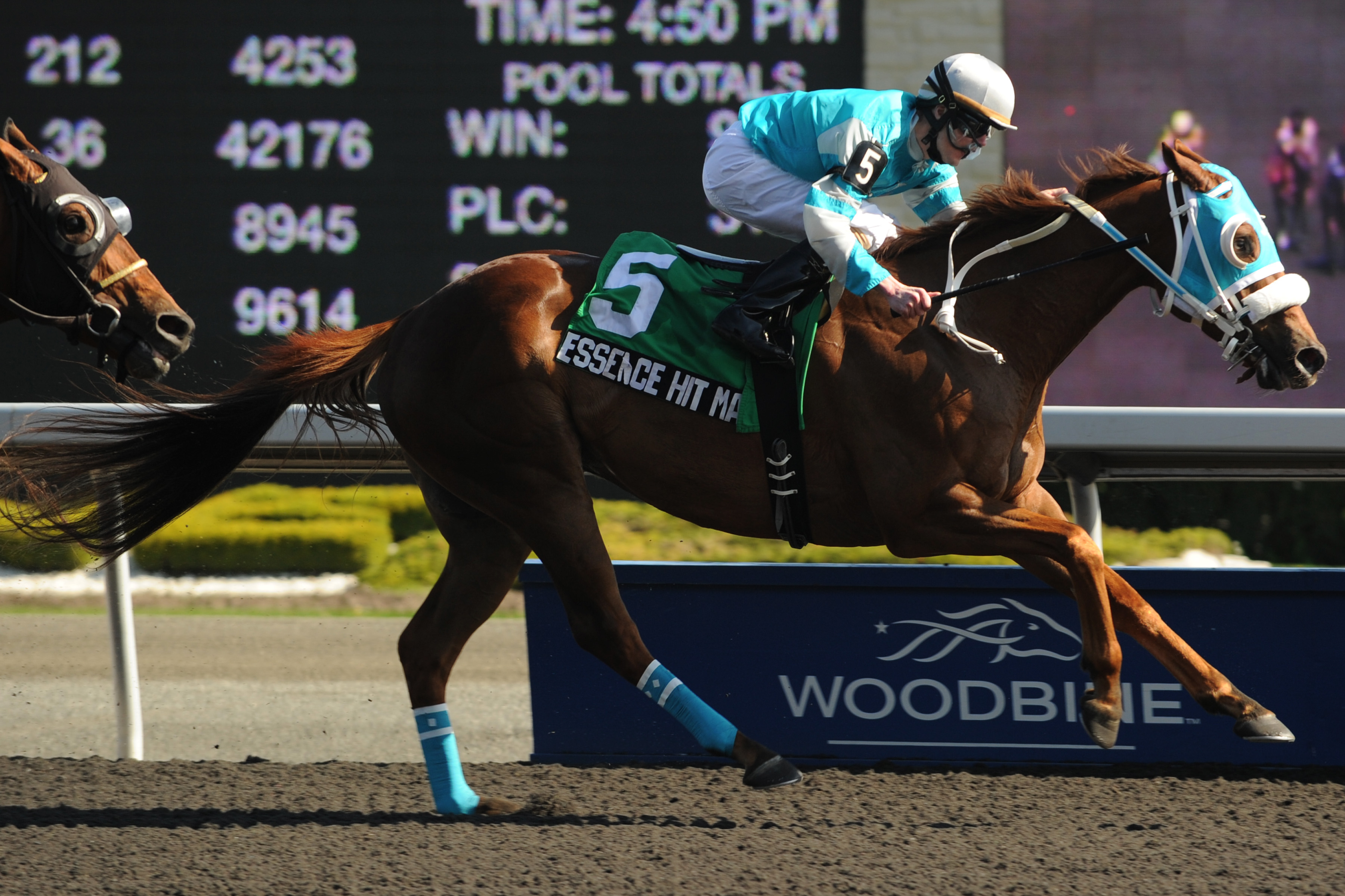 Essence Hit Man, Vigil Stakes