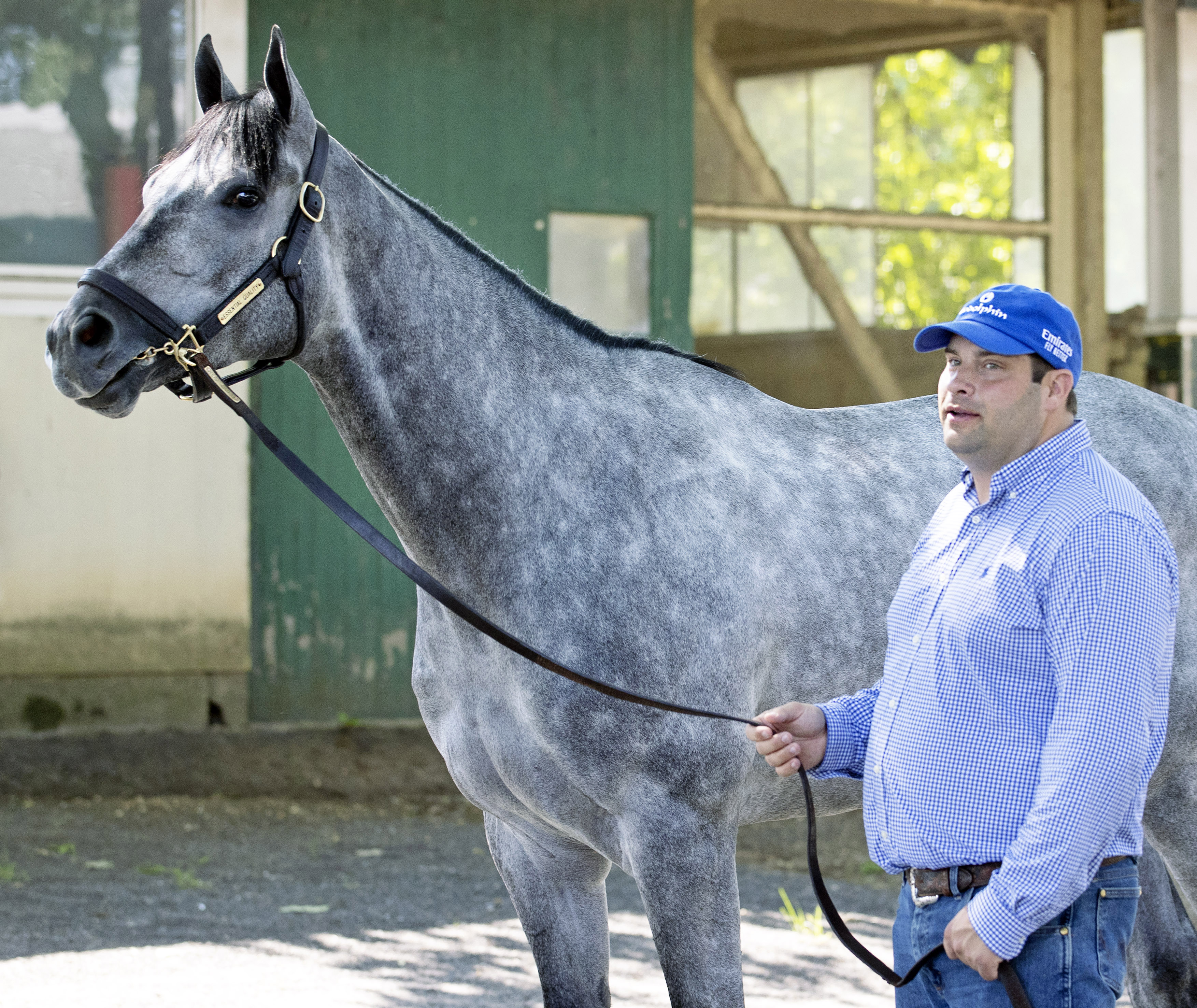 Essential Quality, Brad Cox morning after Belmont 6-5-2021
